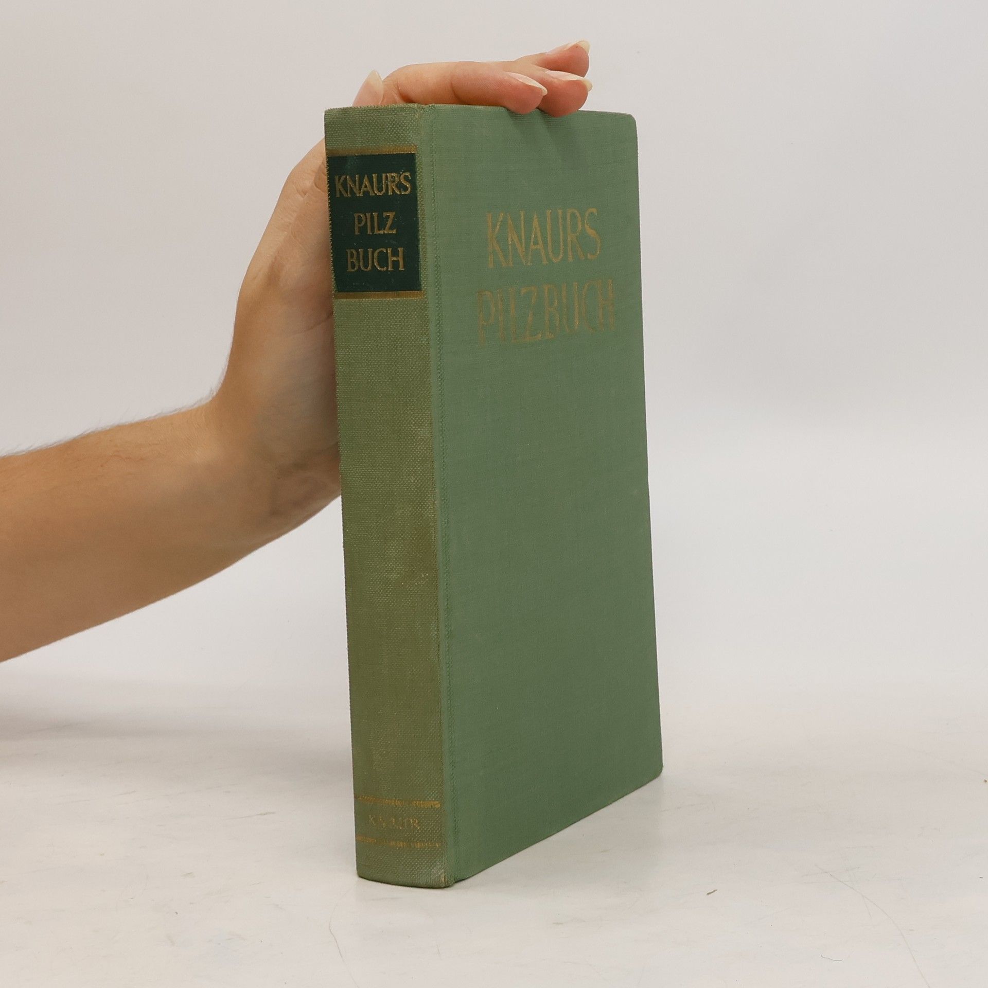 Autorenkollektiv Knaurs Pilzbuch
