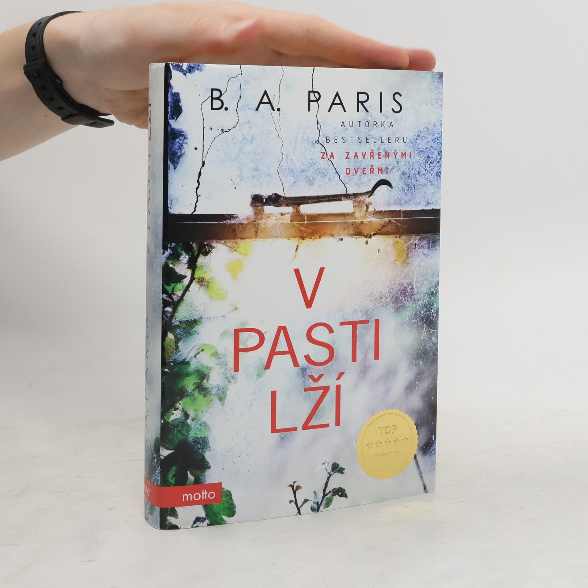 B. A. Paris V pasti lží