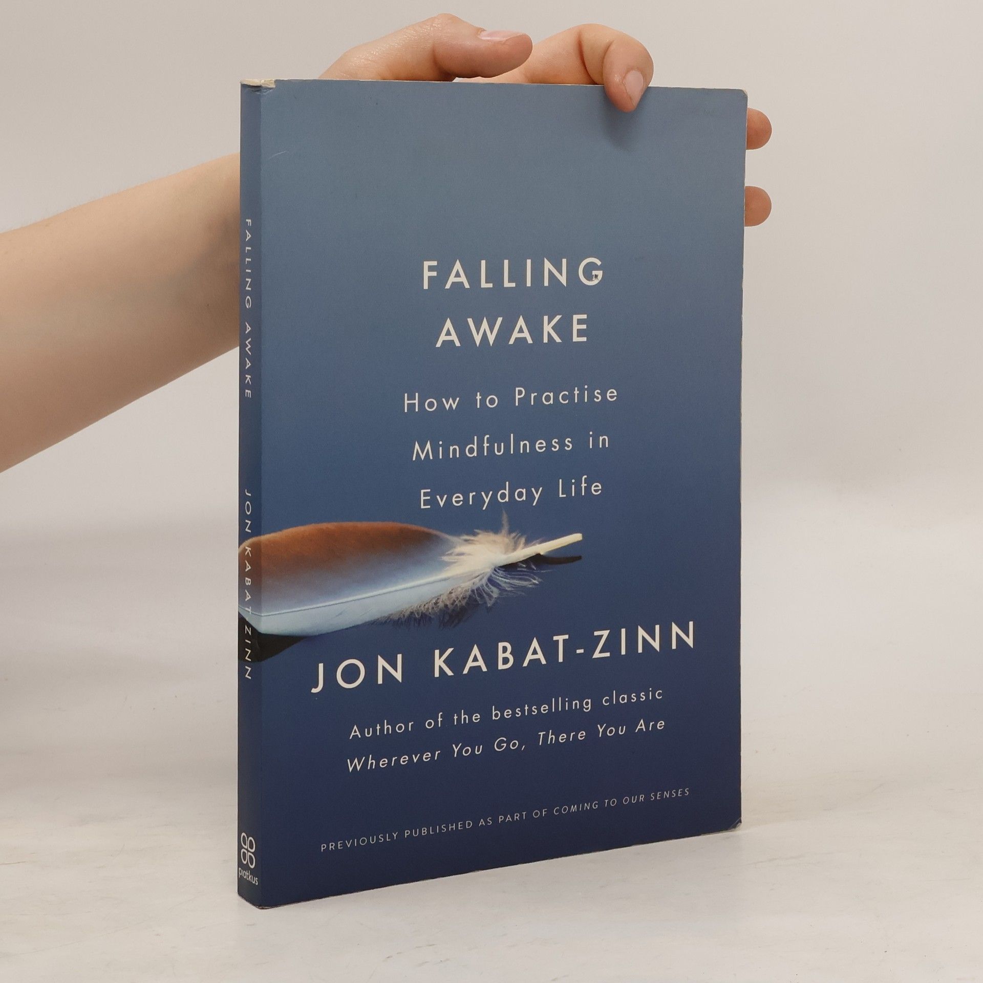 Jon Kabat-Zinn Falling Awake