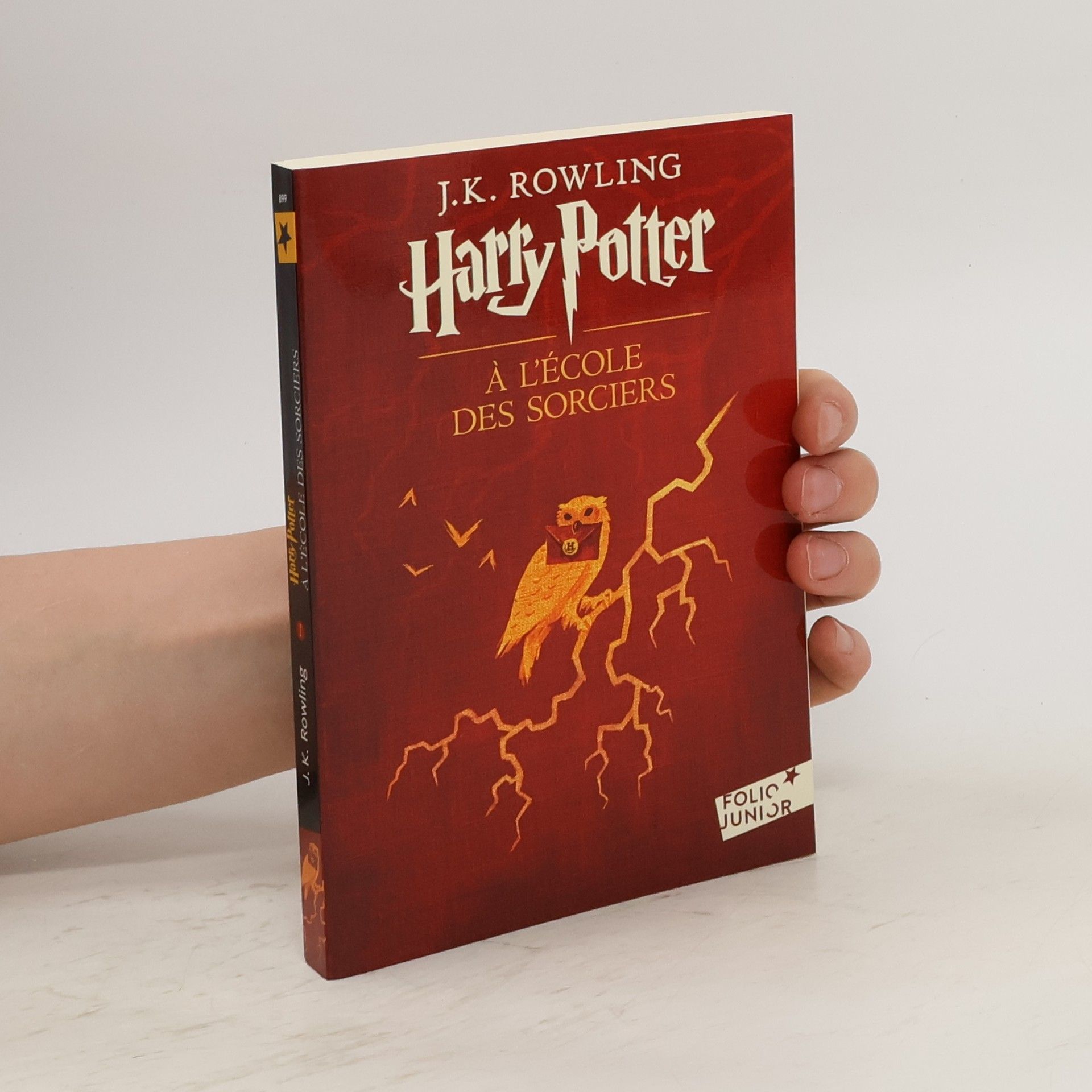 J. K. Rowling Harry Potter à l'école des sorciers