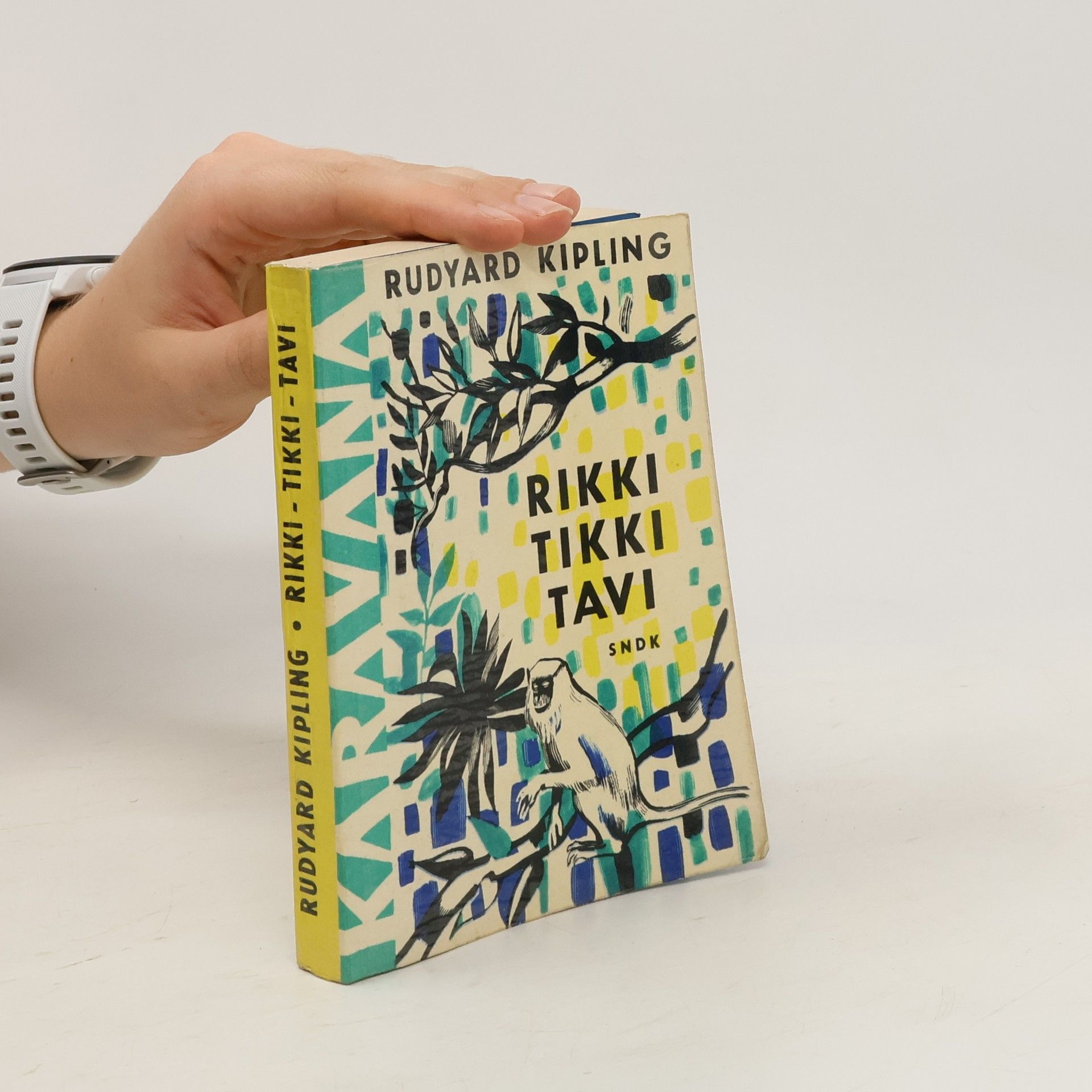Rudyard Kipling Rikki-tikki-tavi a jiné povídky o zvířatech
