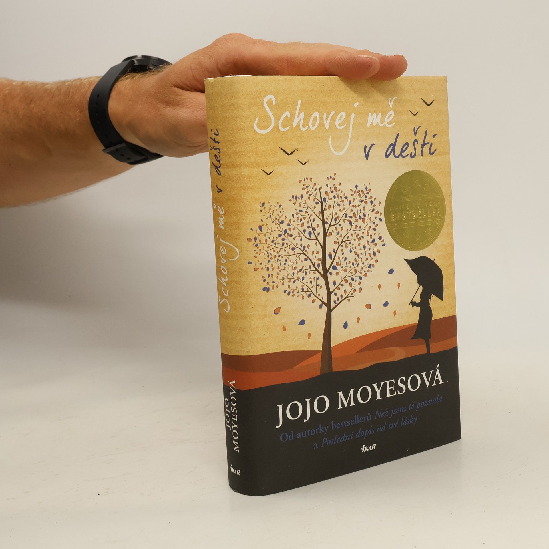 Jojo Moyesová Schovej mě v dešti