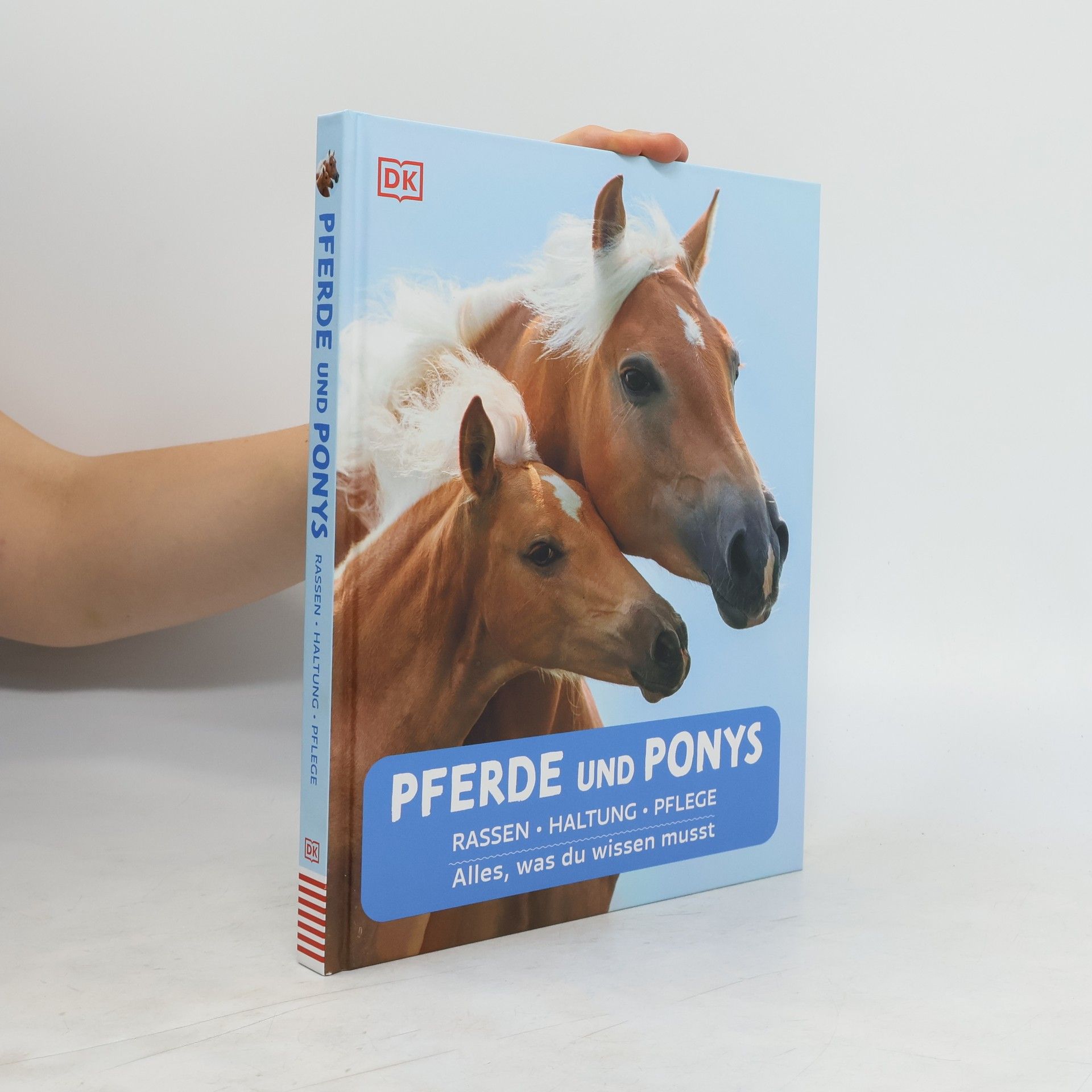Bettina Borst Pferde und Ponys