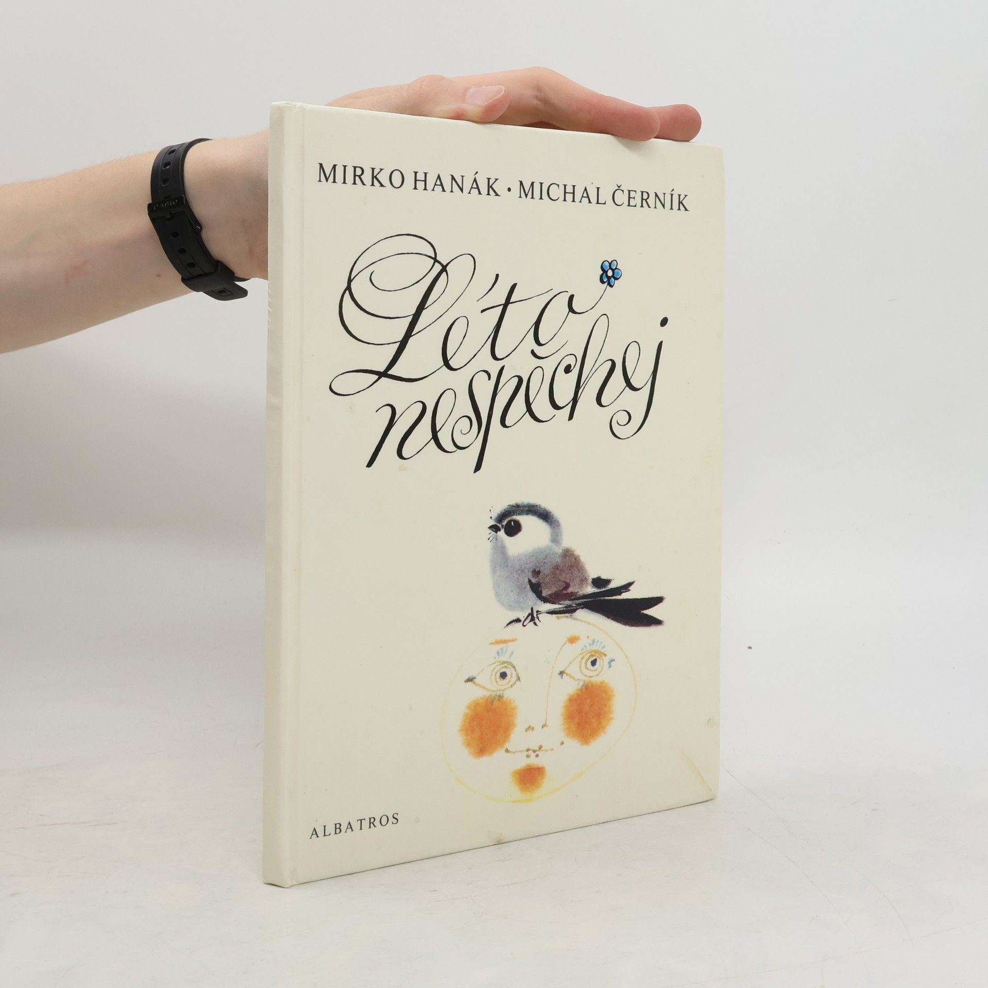 Michal Černík Léto nespěchej