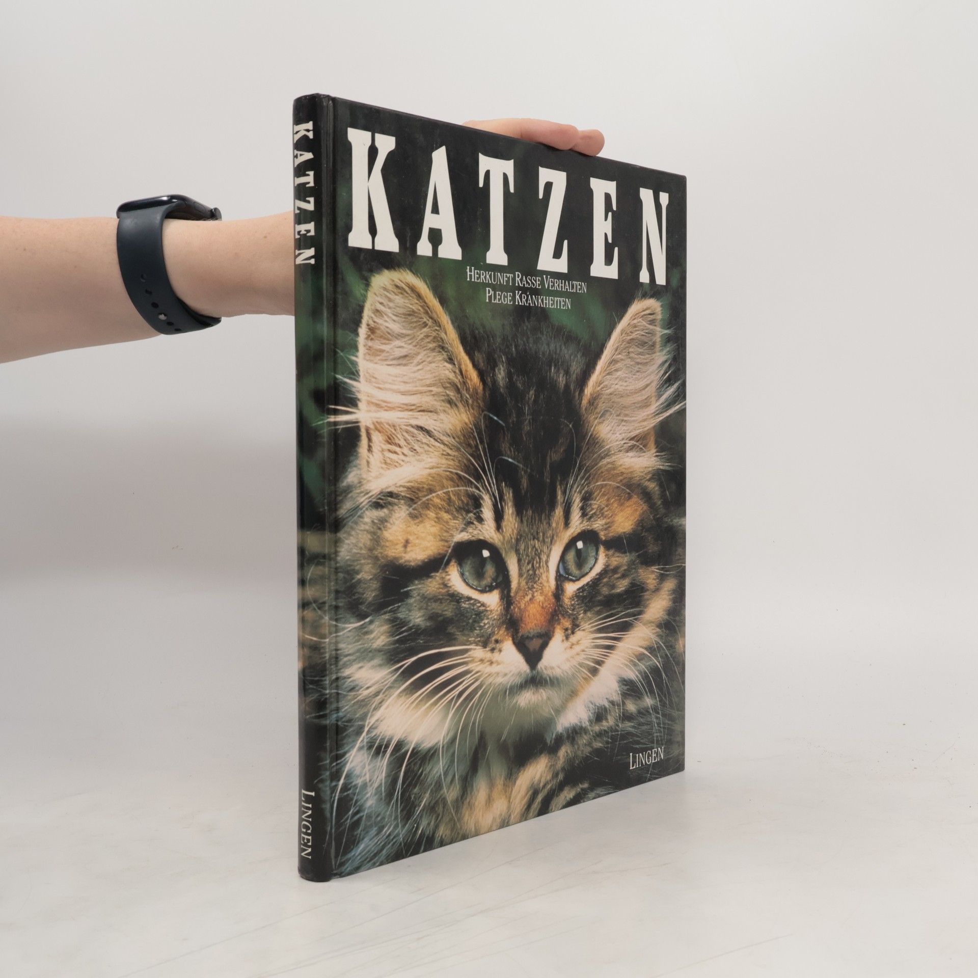 Auteurscollectief Katzen