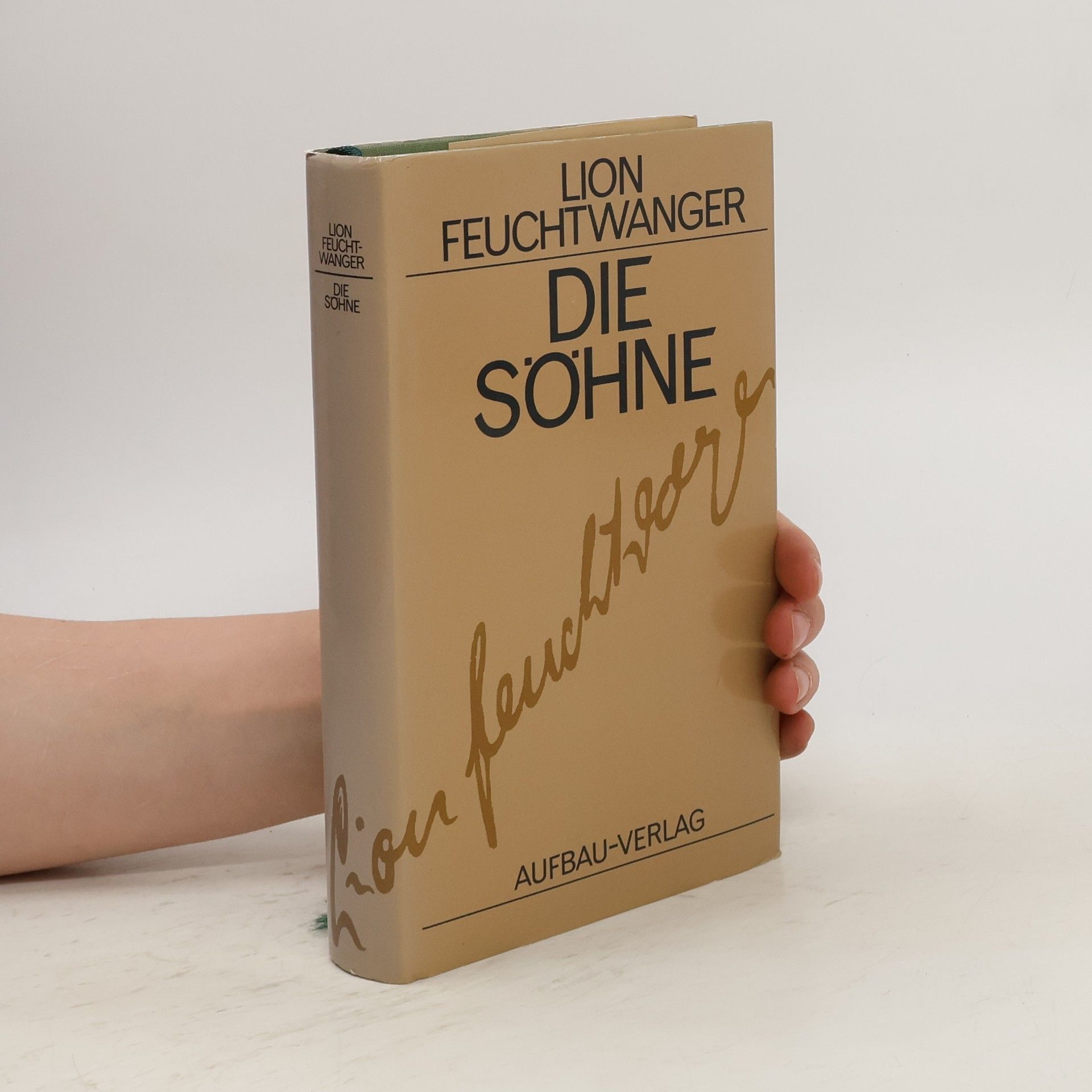 Lion Feuchtwanger Die Söhne