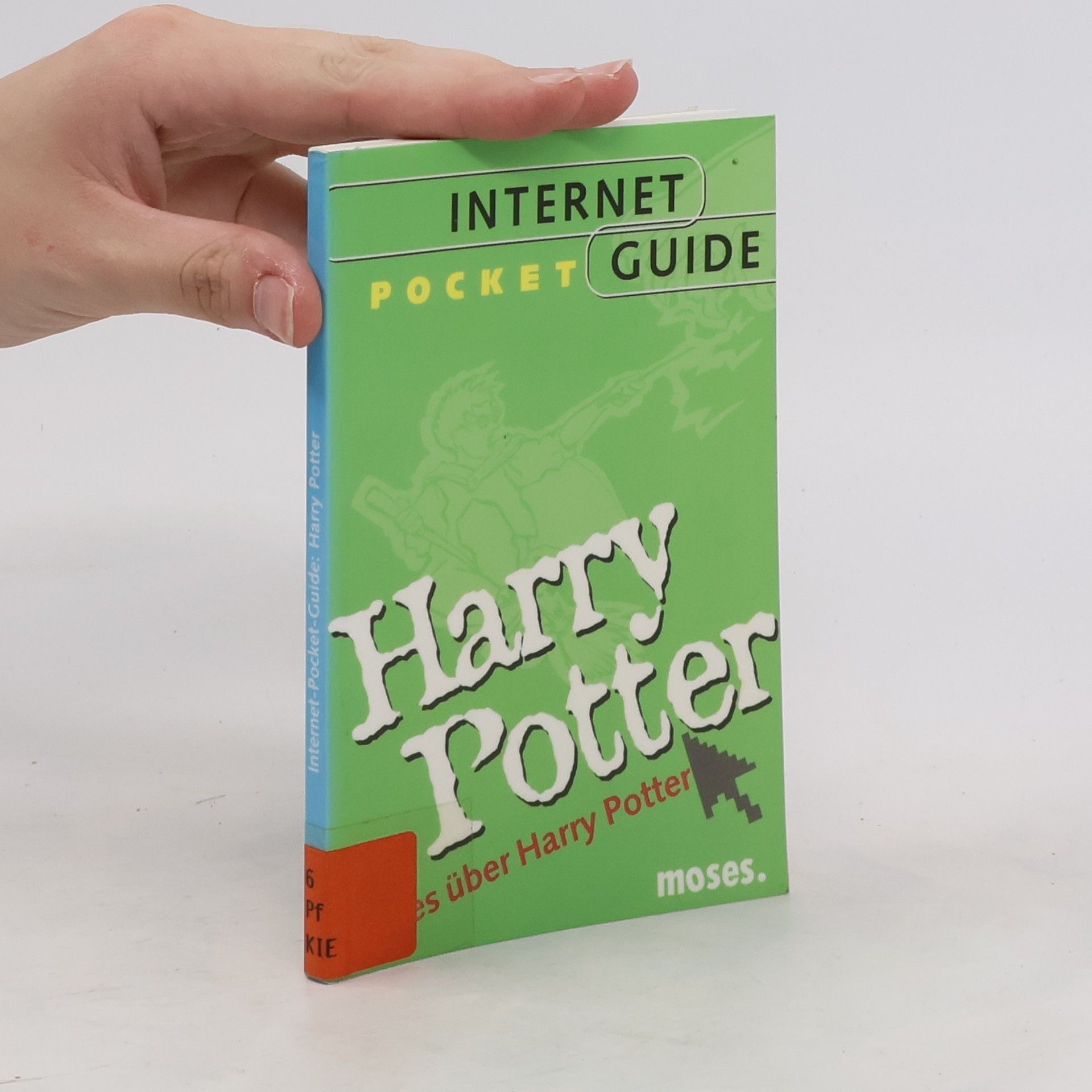 Günter W. Kienitz Alles über Harry Potter