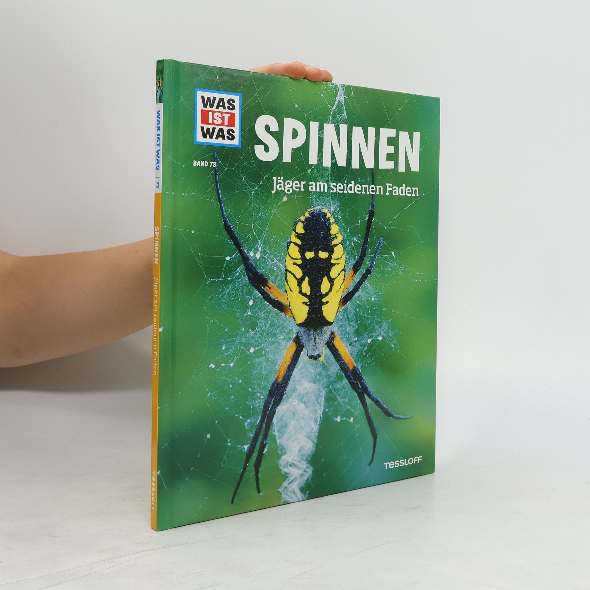 Alexandra Rigos Spinnen