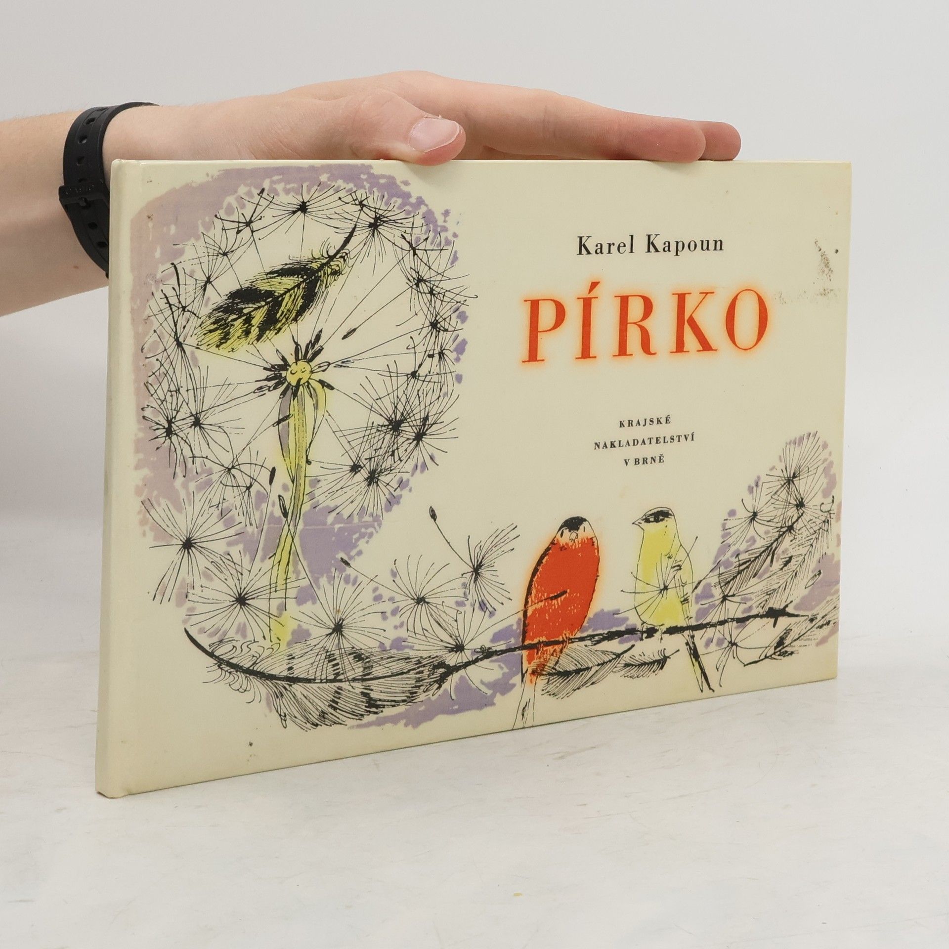 Karel Kapoun Pírko