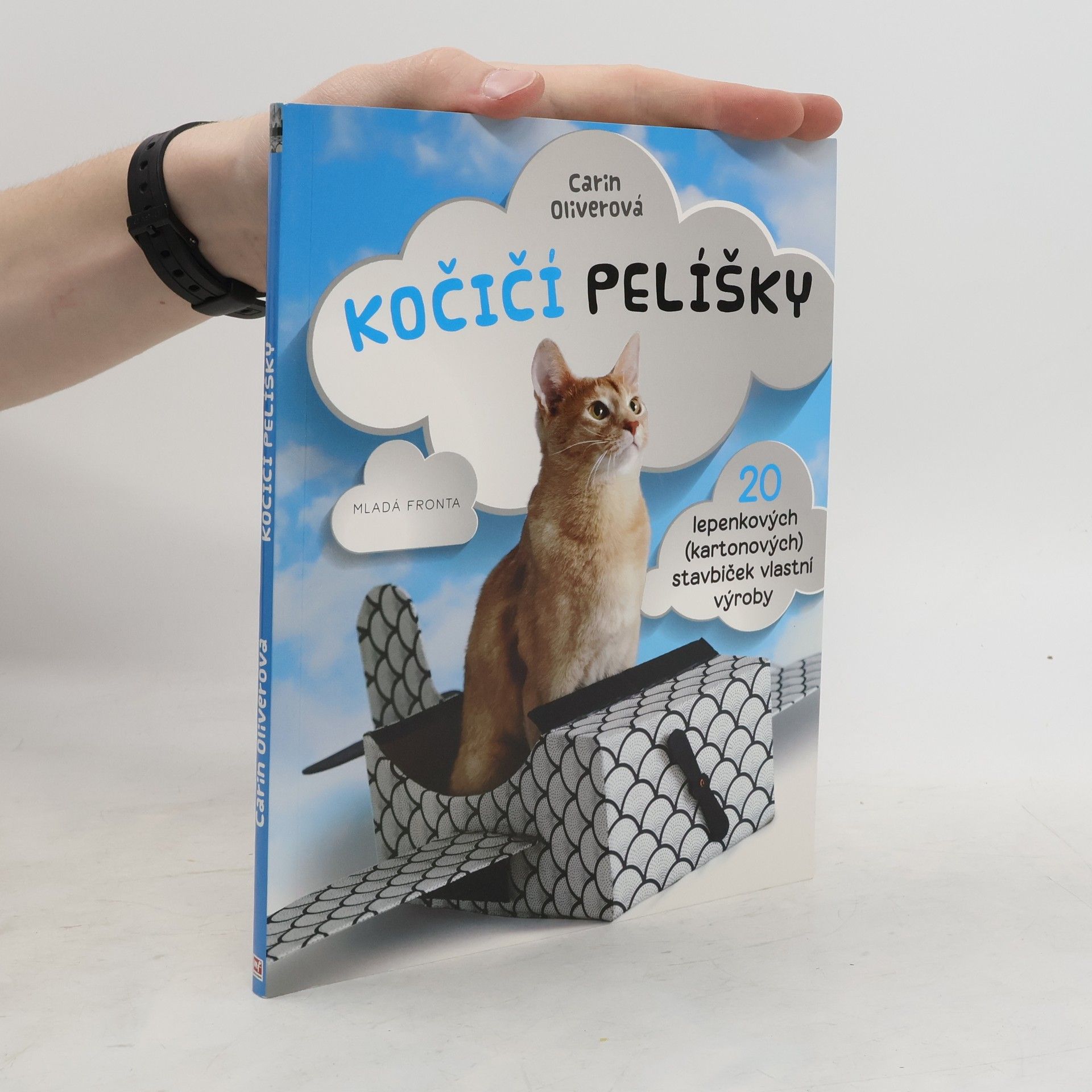 Carin Oliver Kočičí pelíšky