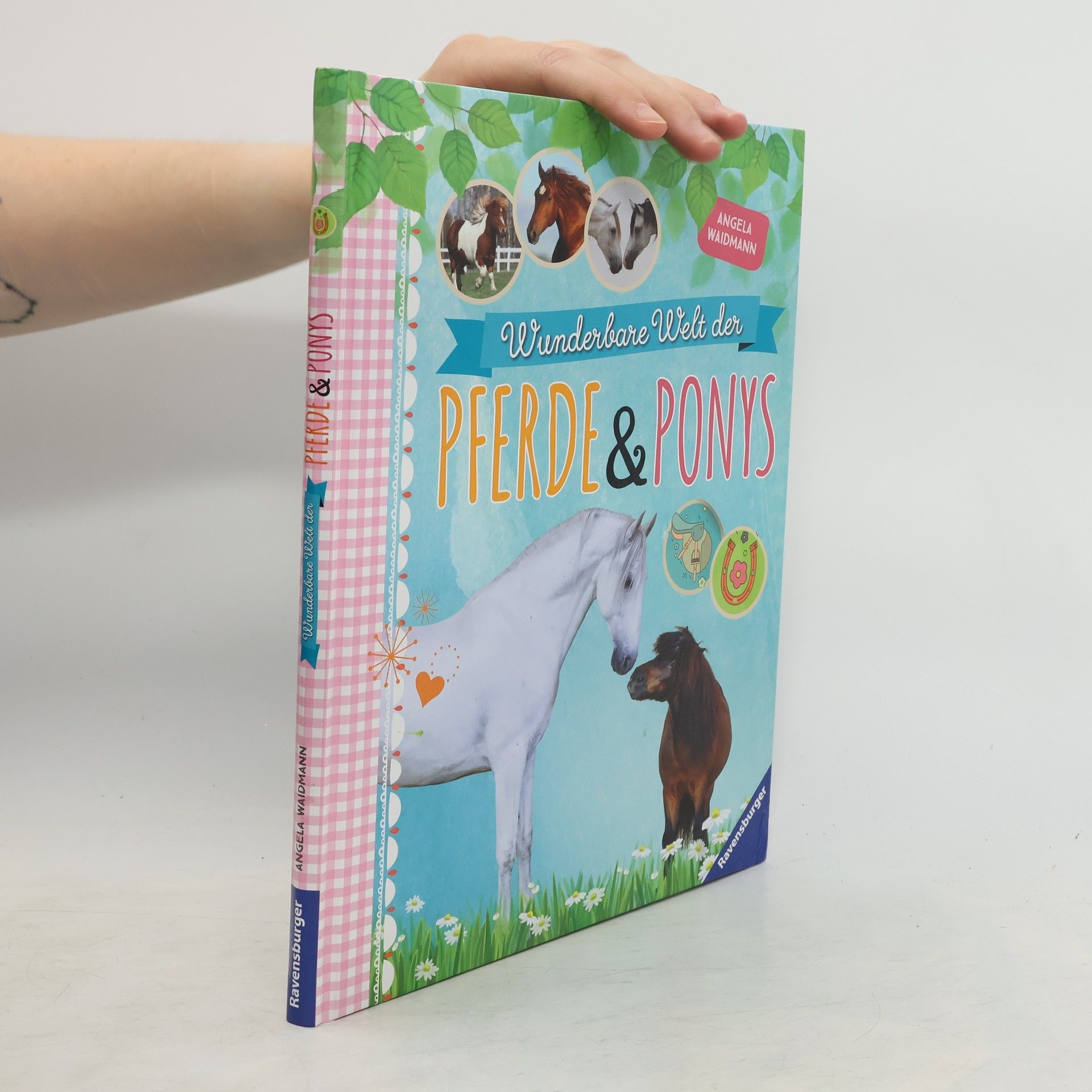 Angela Waidmann Wunderbare Welt der Pferde & Ponys