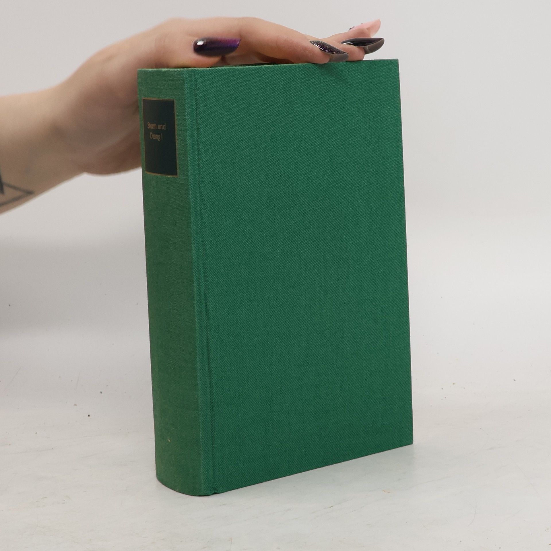 Heinz Nicolai Sturm und Drang. Dichtungen und theoretische Texte I