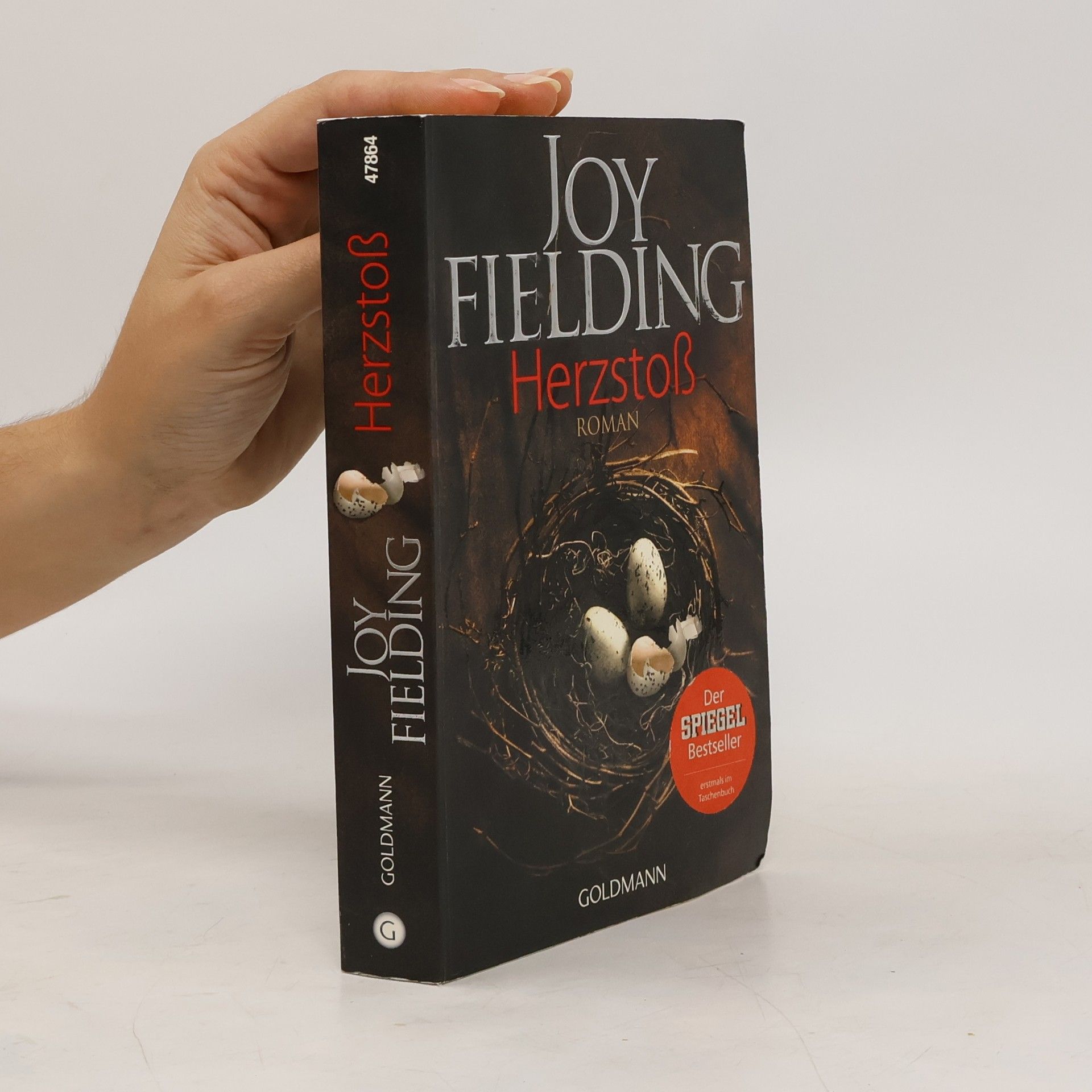 Joy Fielding Herzstoß (Až ji uvidíš)