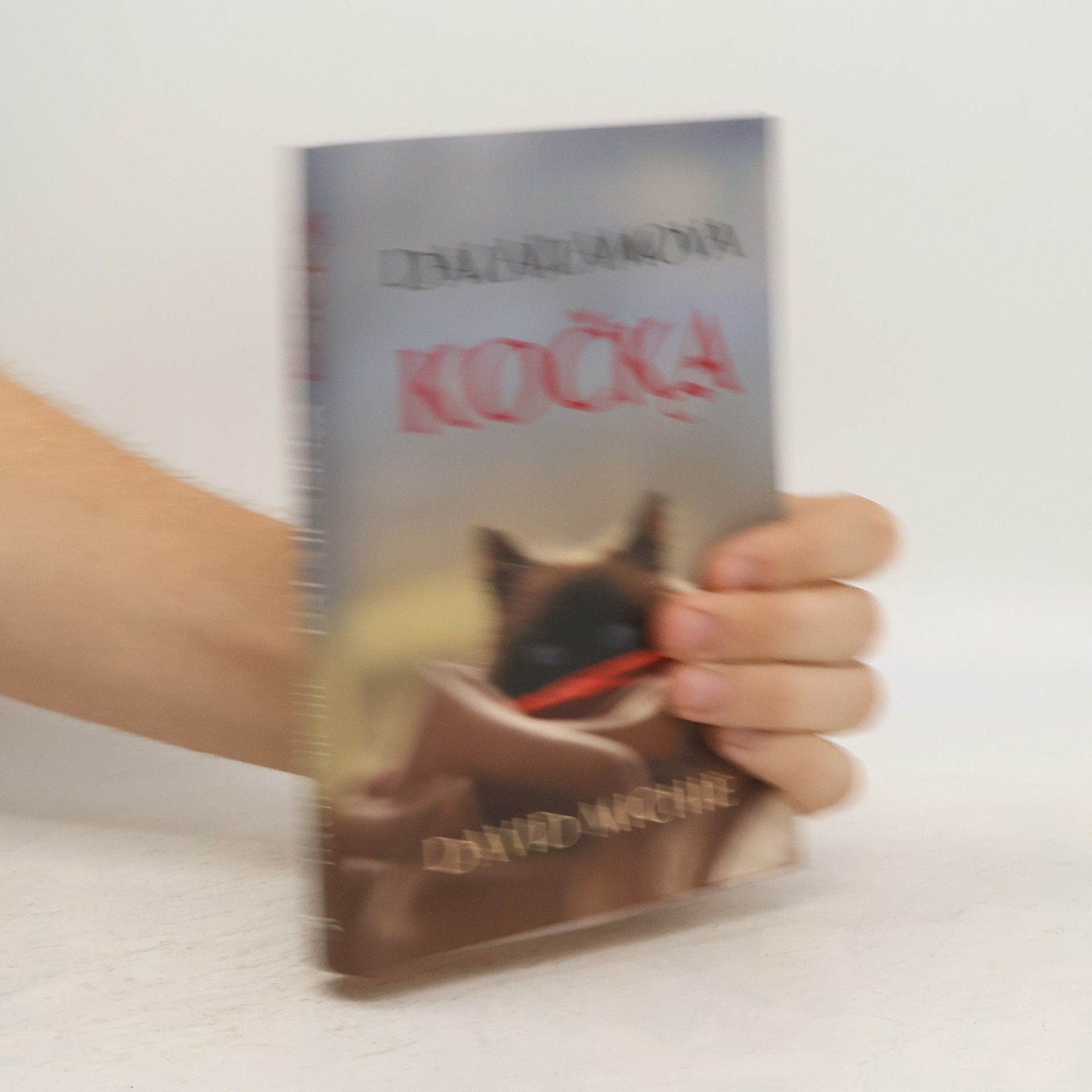 David Michie Dalajlamova kočka