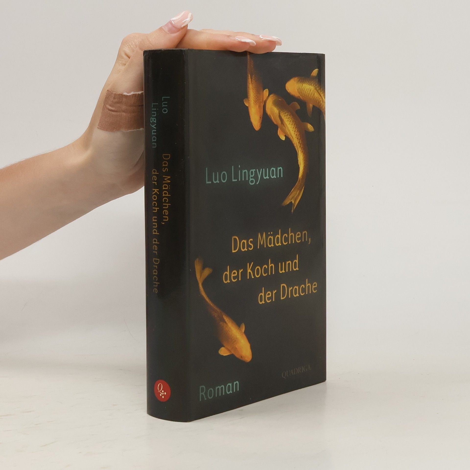 Lingyuan Luo Das Mädchen, der Koch und der Drache