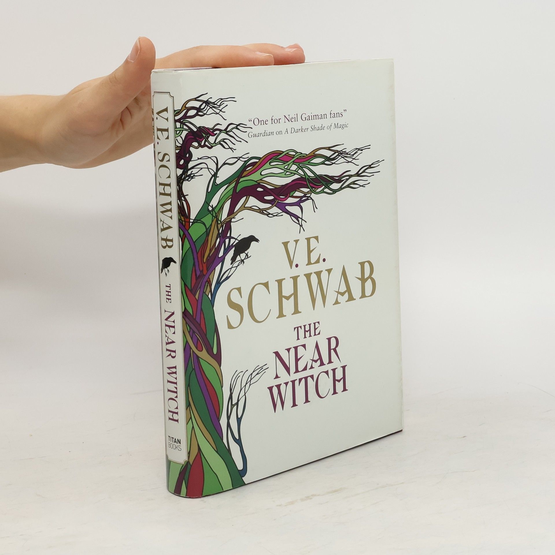 V. E. Schwab The Near Witch
