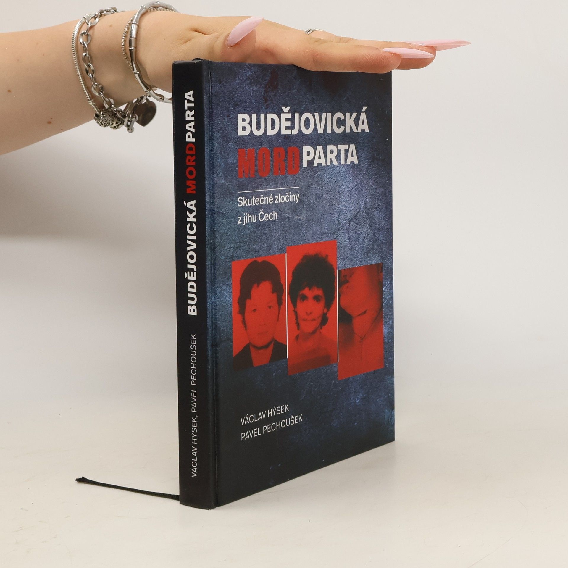 Václav Hýsek Budějovická mordparta