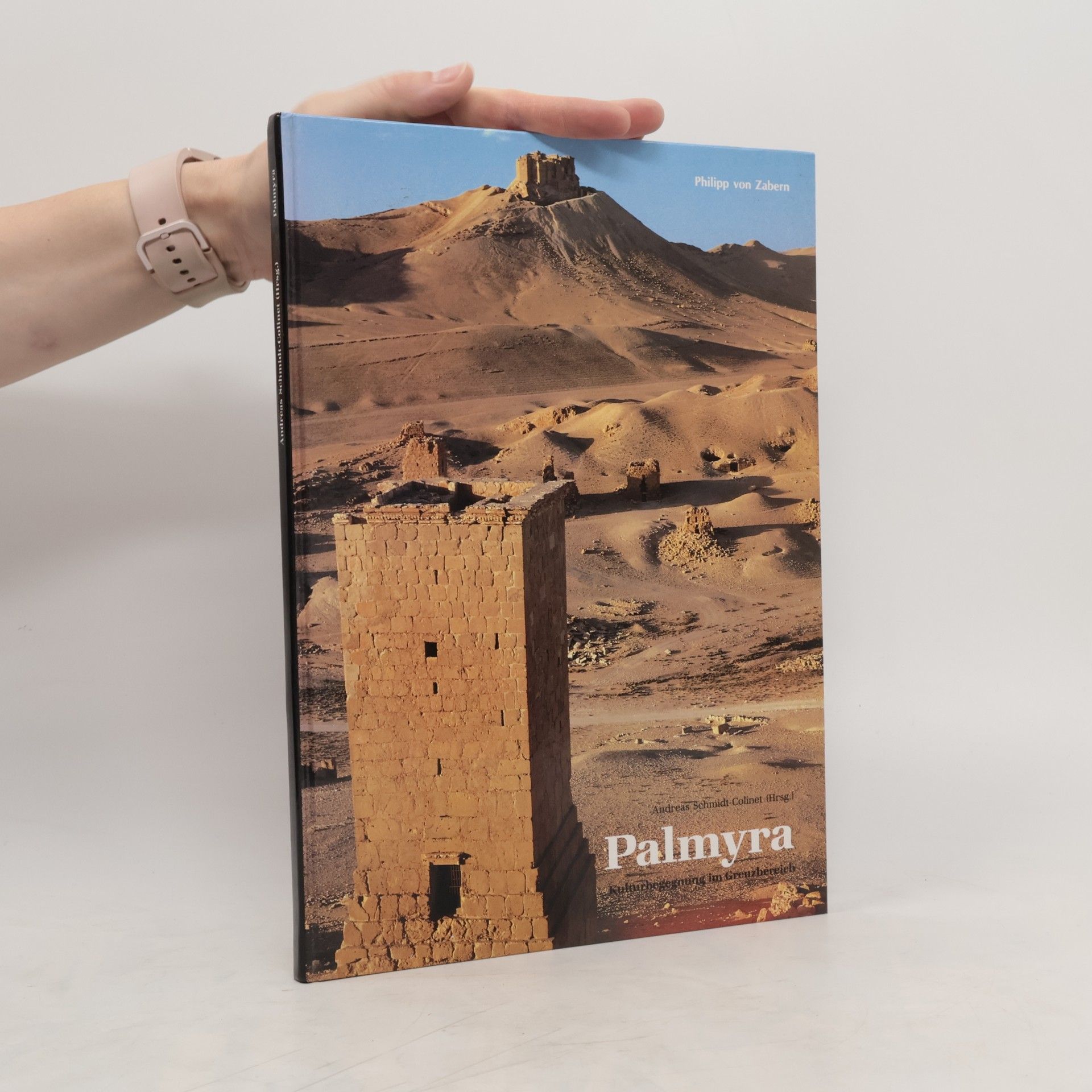 Michael-Andreas Schmidt Palmyra