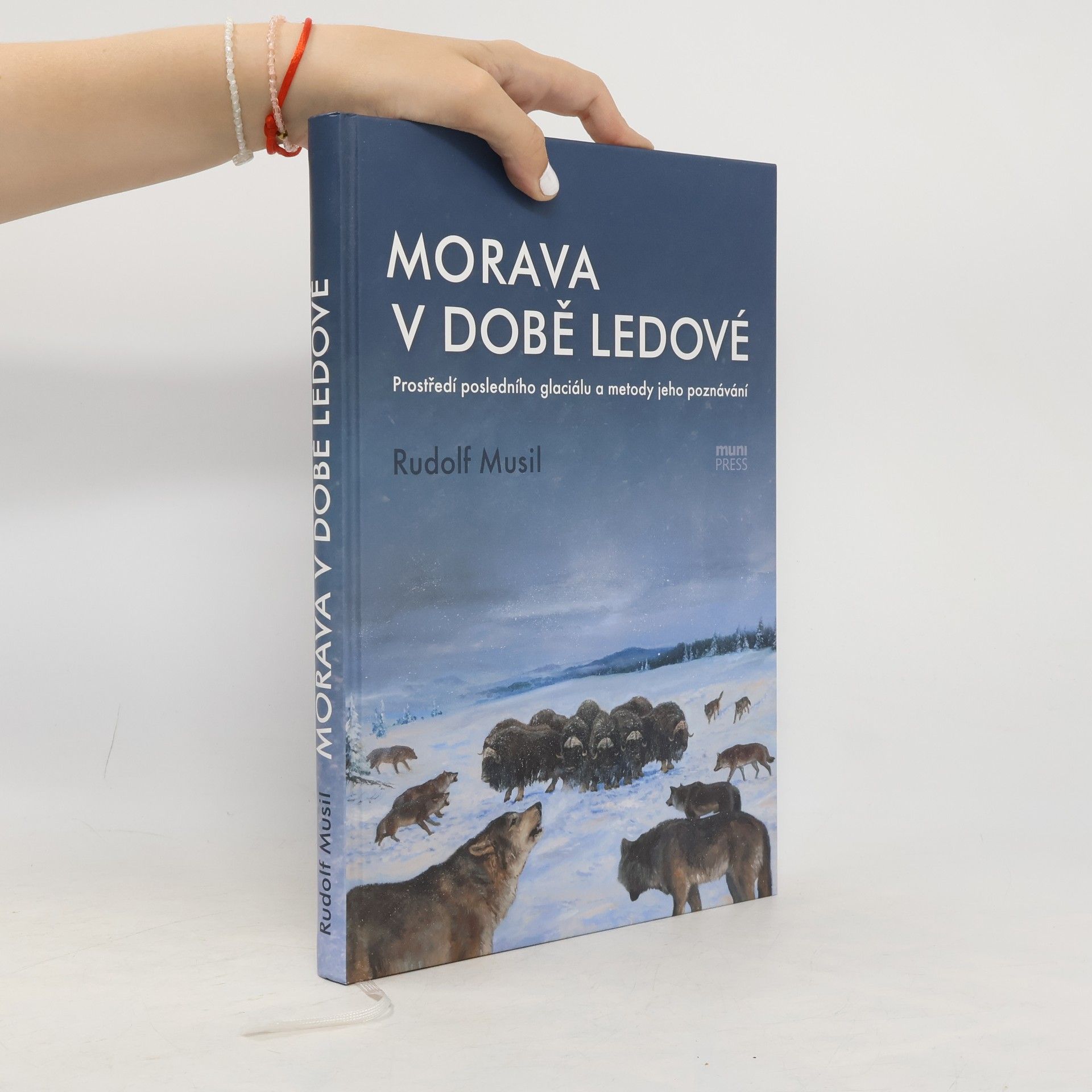 Rudolf Musil Morava v době ledové