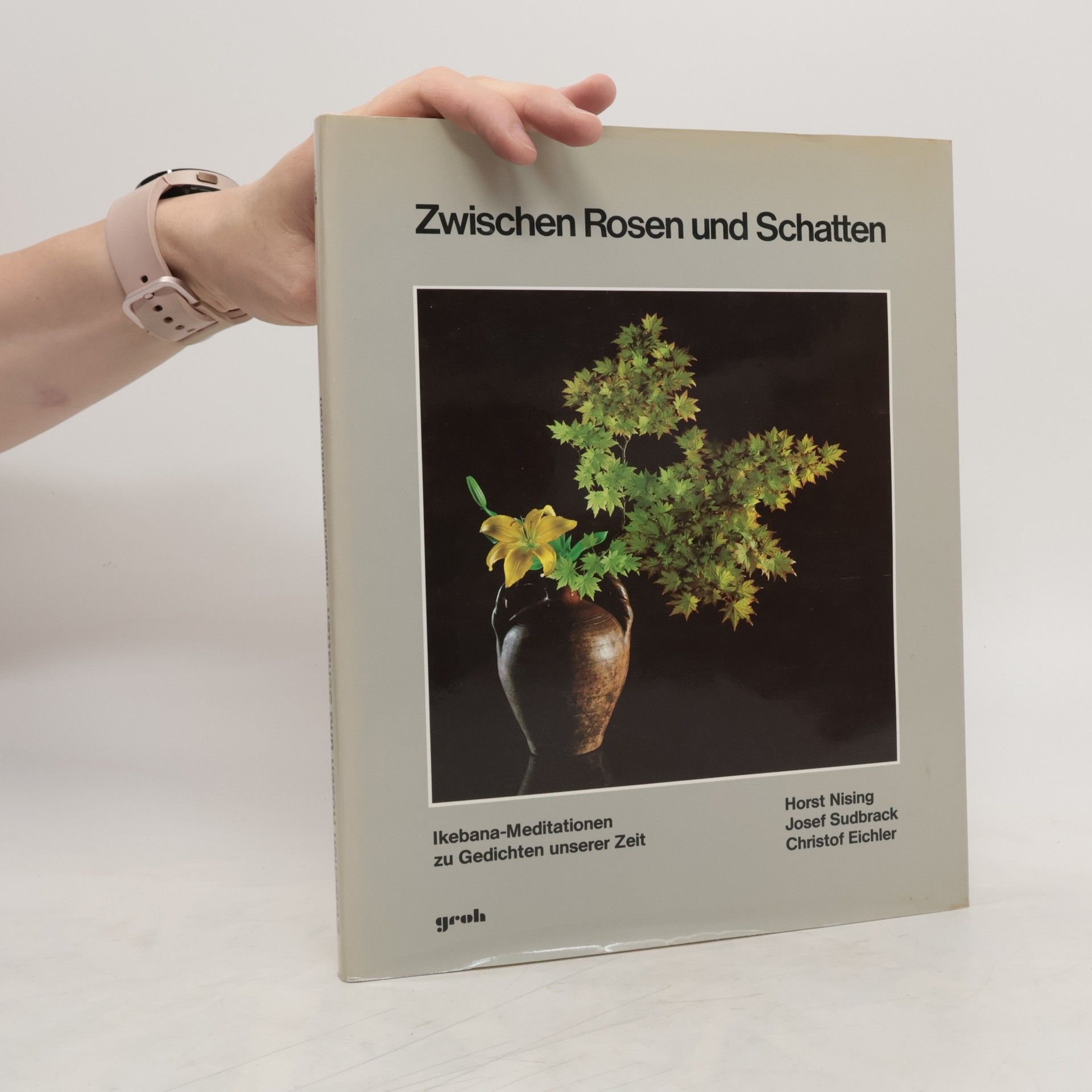 Josef Sudbrack Zwischen Rosen und Schatten