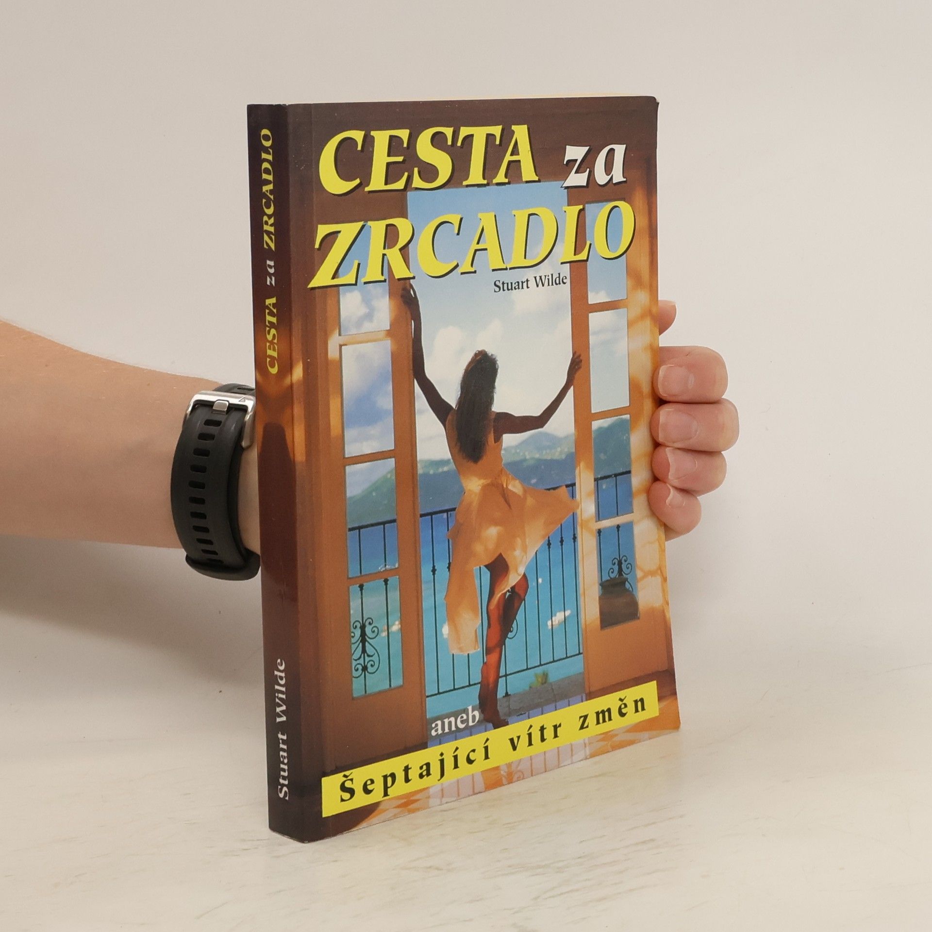 Stuart Wilde Cesta za zrcadlo
