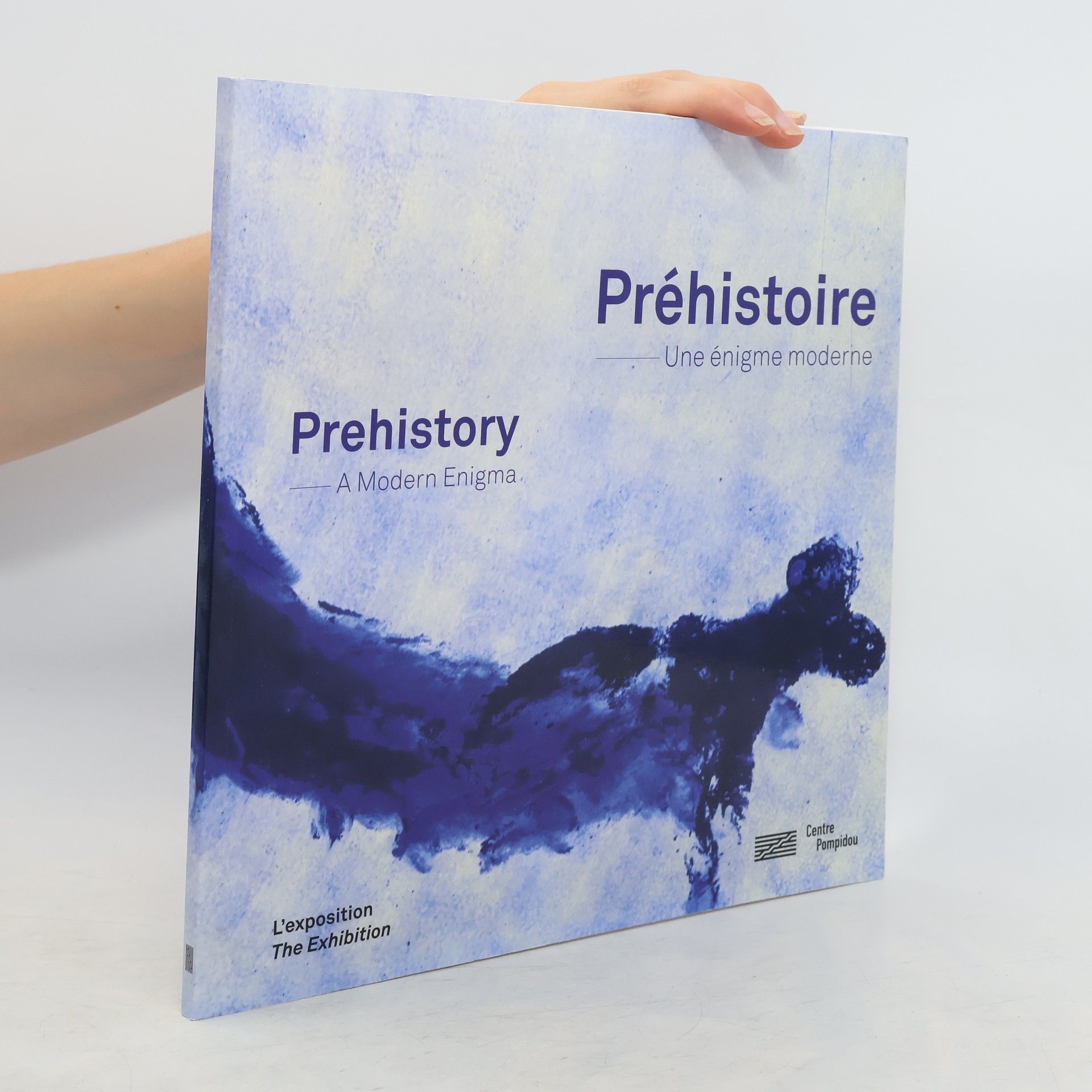 kolektiv Préhistoire, une énigme moderne = Prehistory, a modern enigma