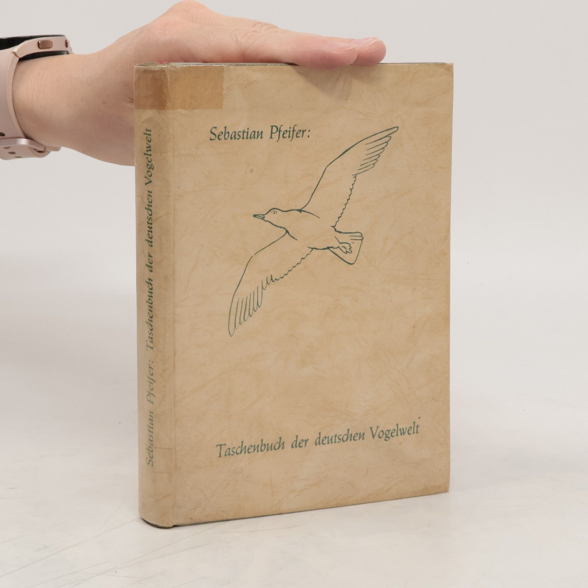Sebastian Pfeifer Taschenbuch der deutschen Vogelwelt