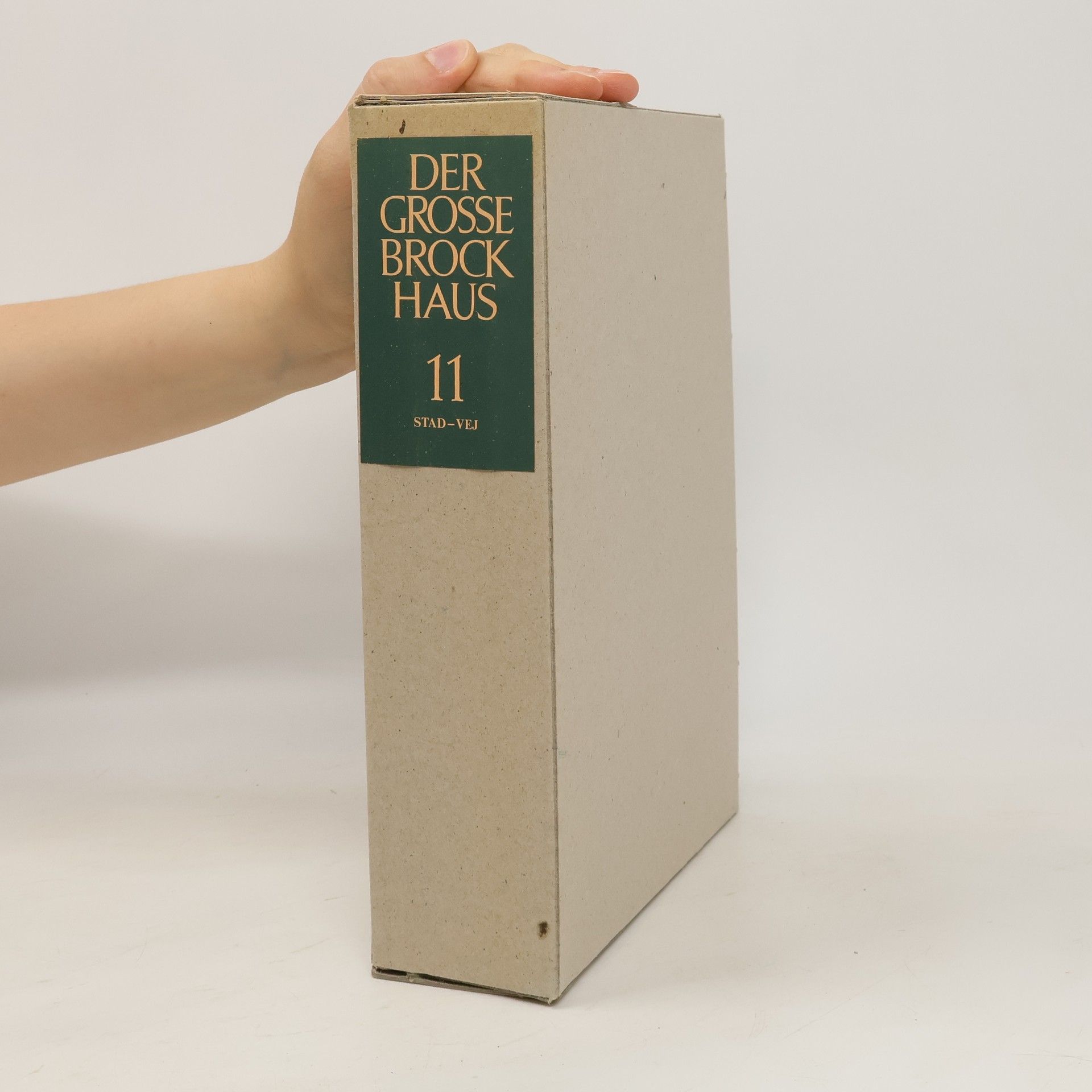 Autorenkollektiv Der grosse Brockhaus 11: Stad-Vej