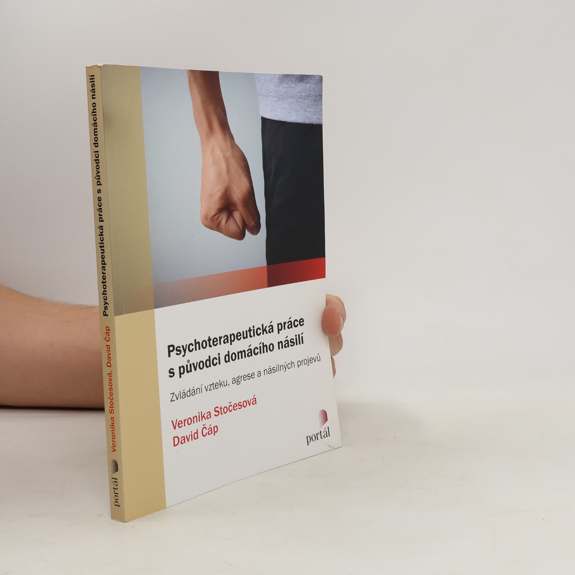 David Čáp Psychoterapeutická práce s původci domácího násilí