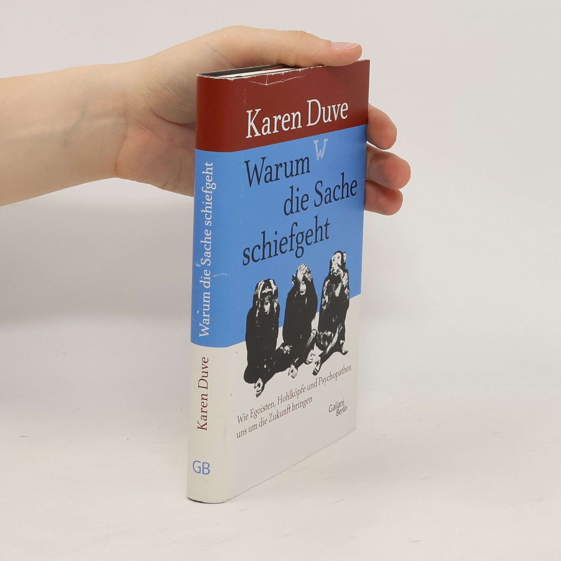 Karen Duve Warum die Sache schief geht