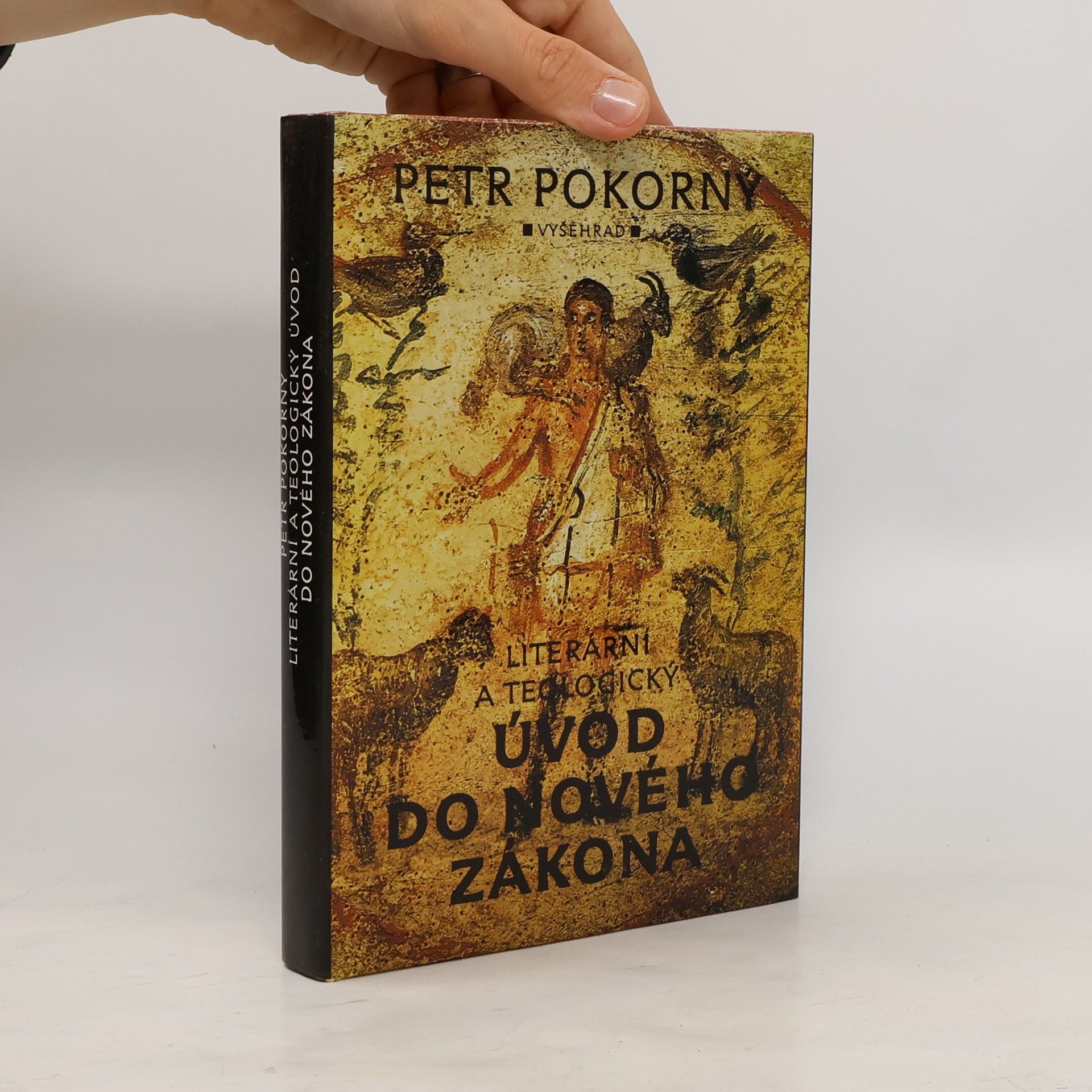 Petr Pokorný Literární a teologický úvod do Nového zákona