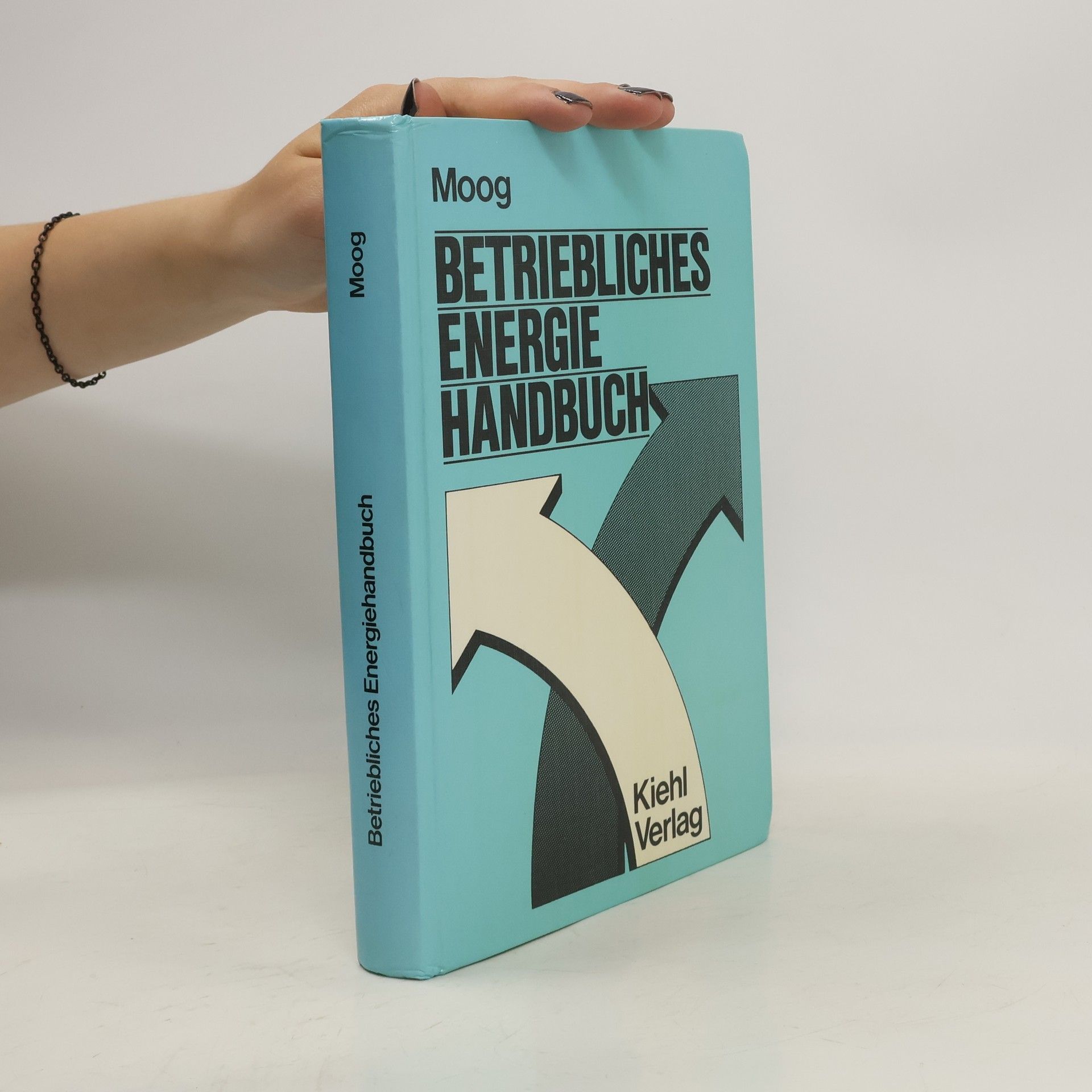 Walter Moog Betriebliches Energie-Handbuch