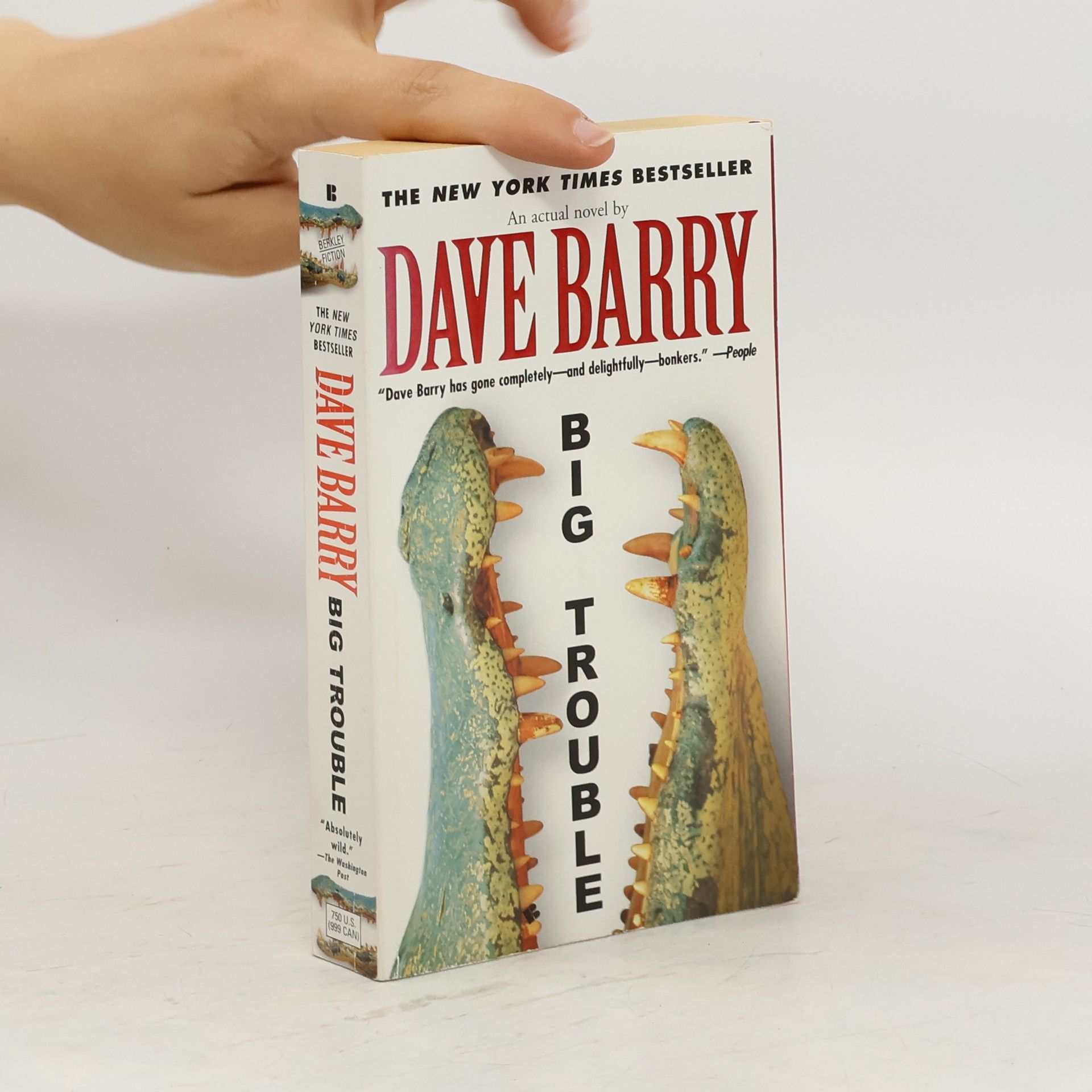 Dave Barry Big Trouble