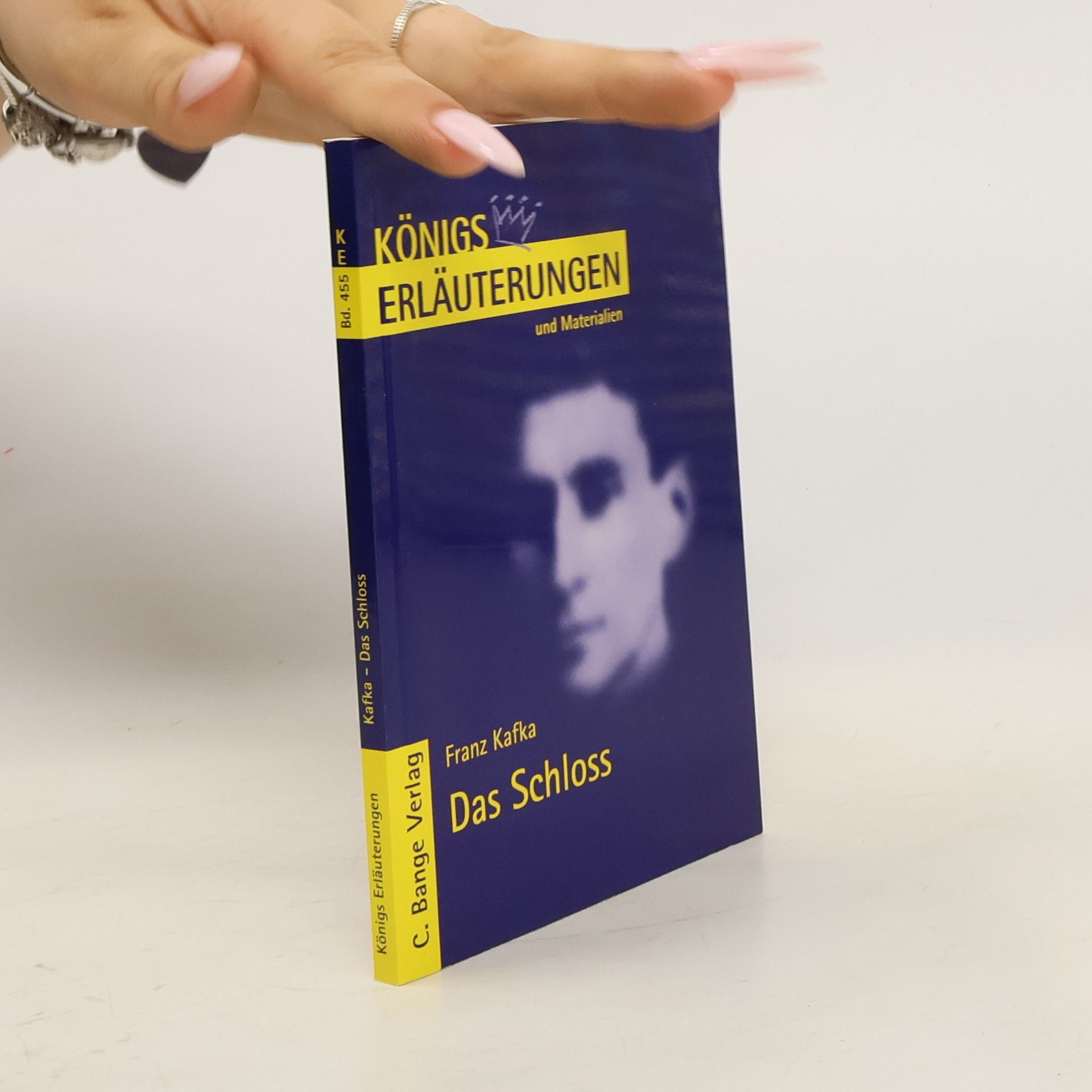 Martin Lowsky Erläuterungen zu Franz Kafka, Das Schloss