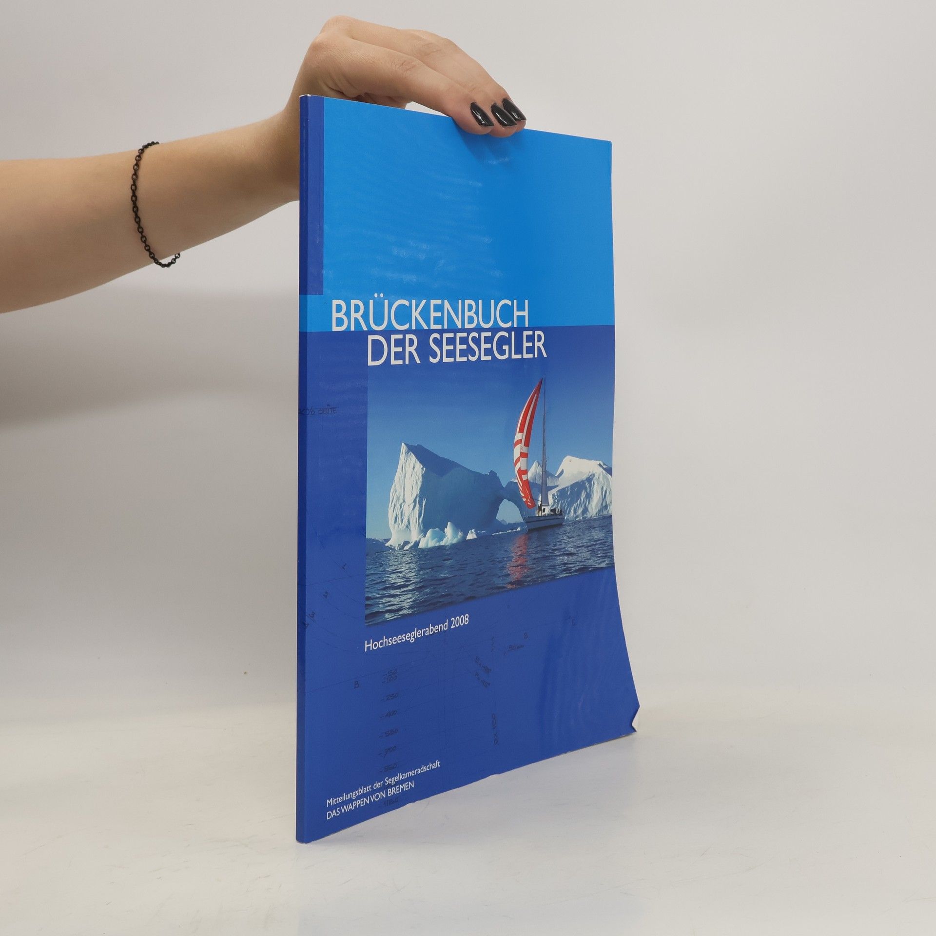 Autorenkollektiv Brückenbuch der Seesegler