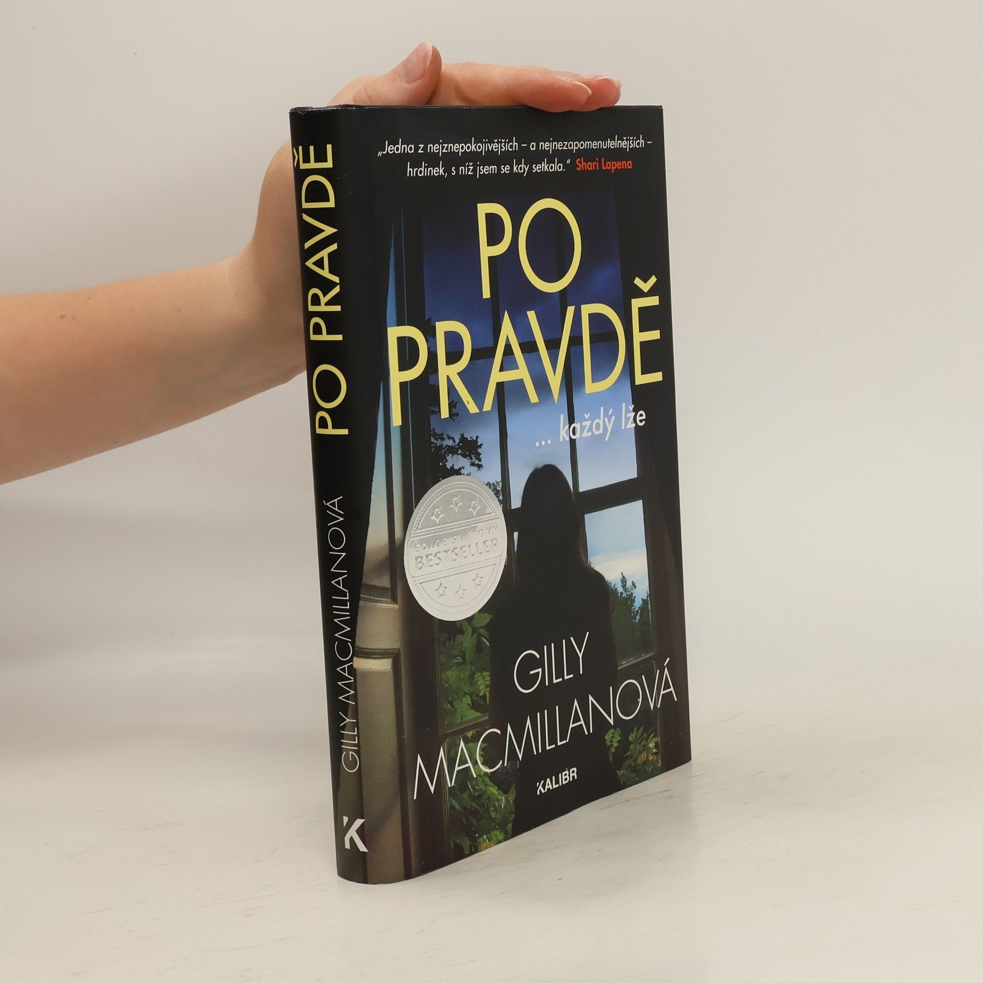 Gilly Macmillan Po pravdě ...každý lže