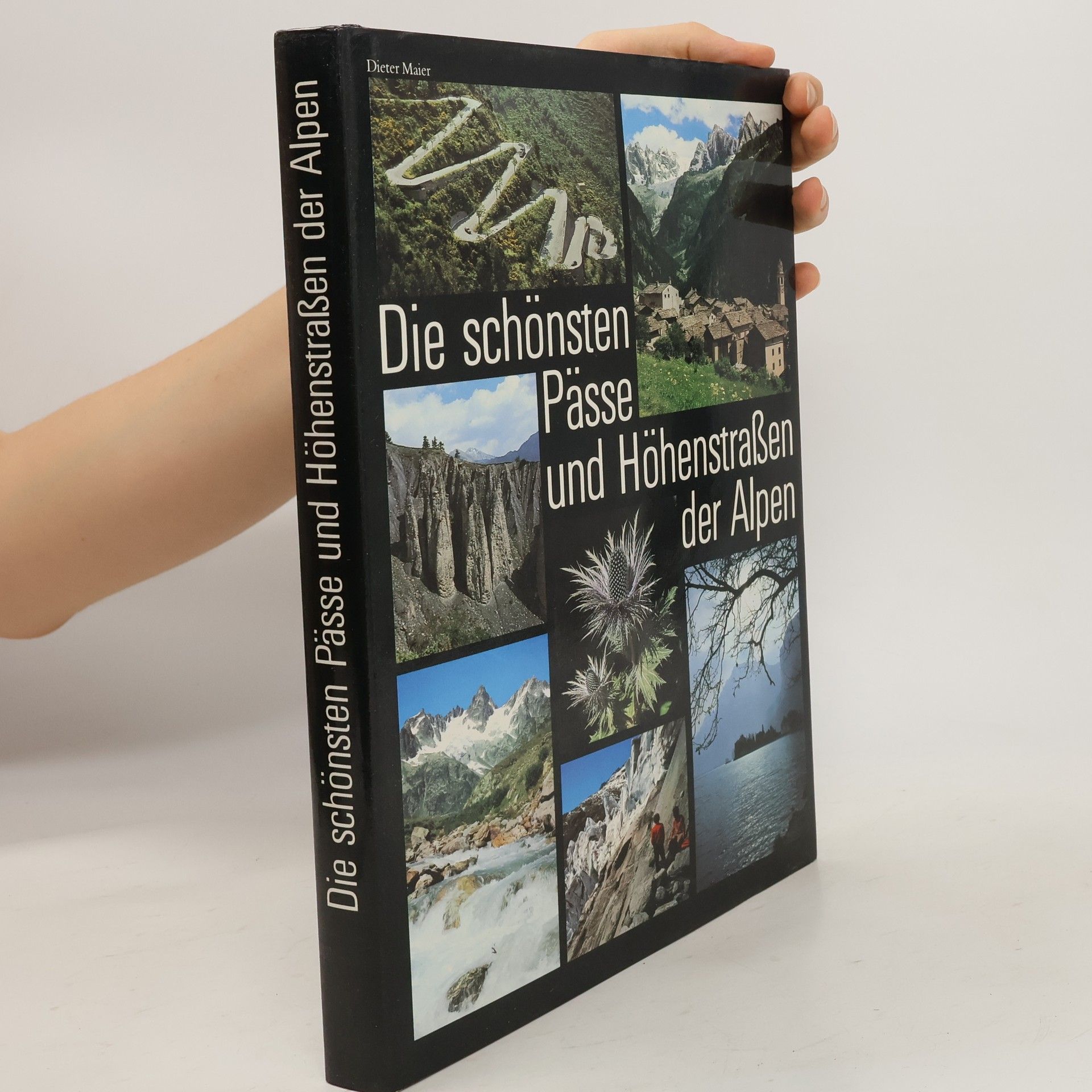 Dieter Maier Die schönsten Pässe und Höhenstrassen der Alpen