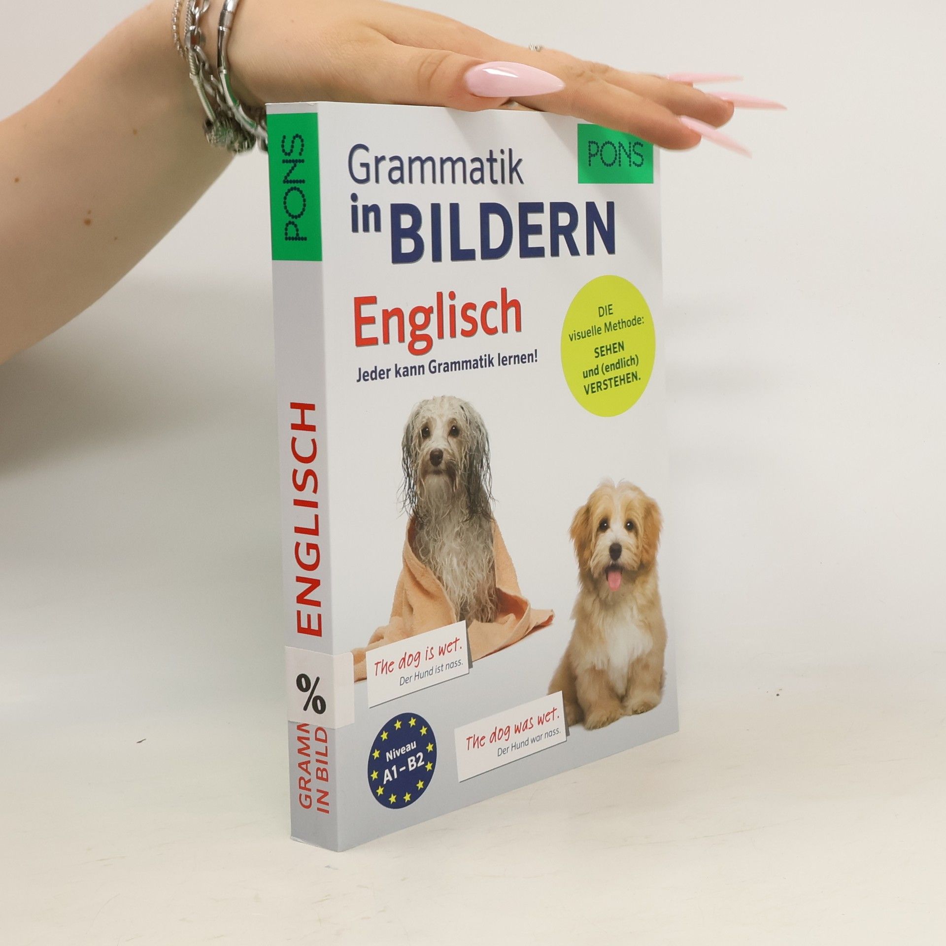 Brian Melican PONS Grammatik in Bildern Englisch