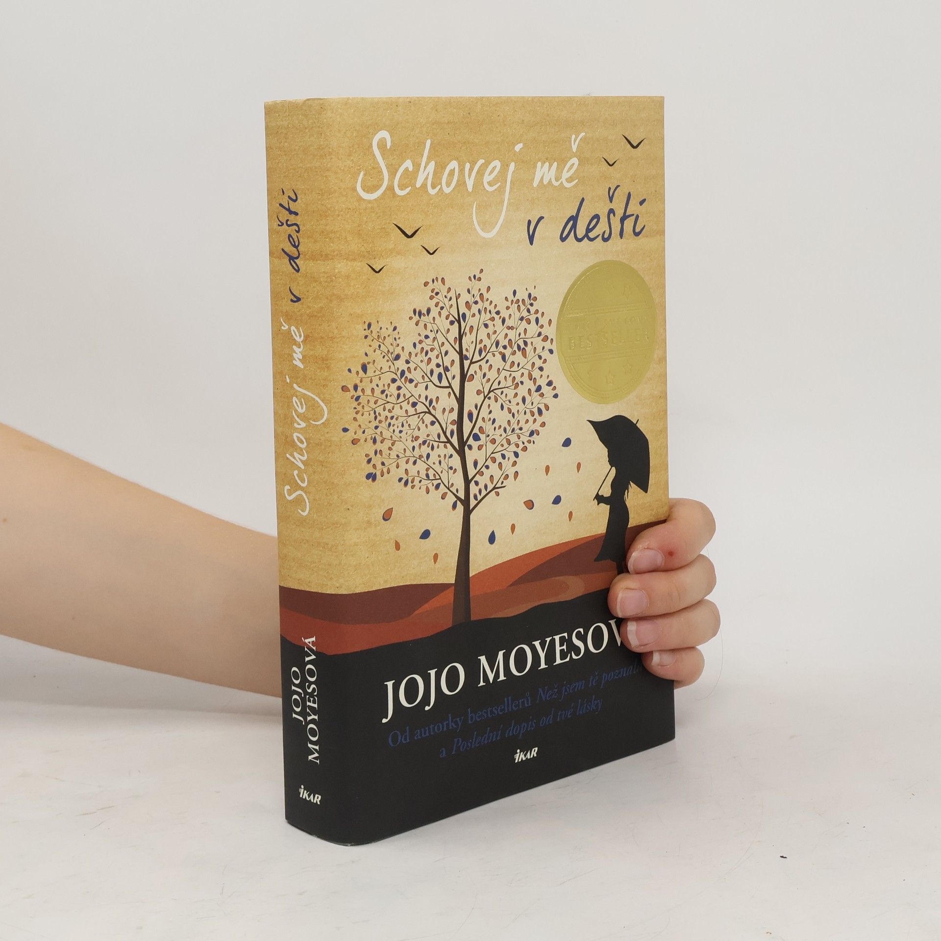 Jojo Moyes Schovej mě v dešti