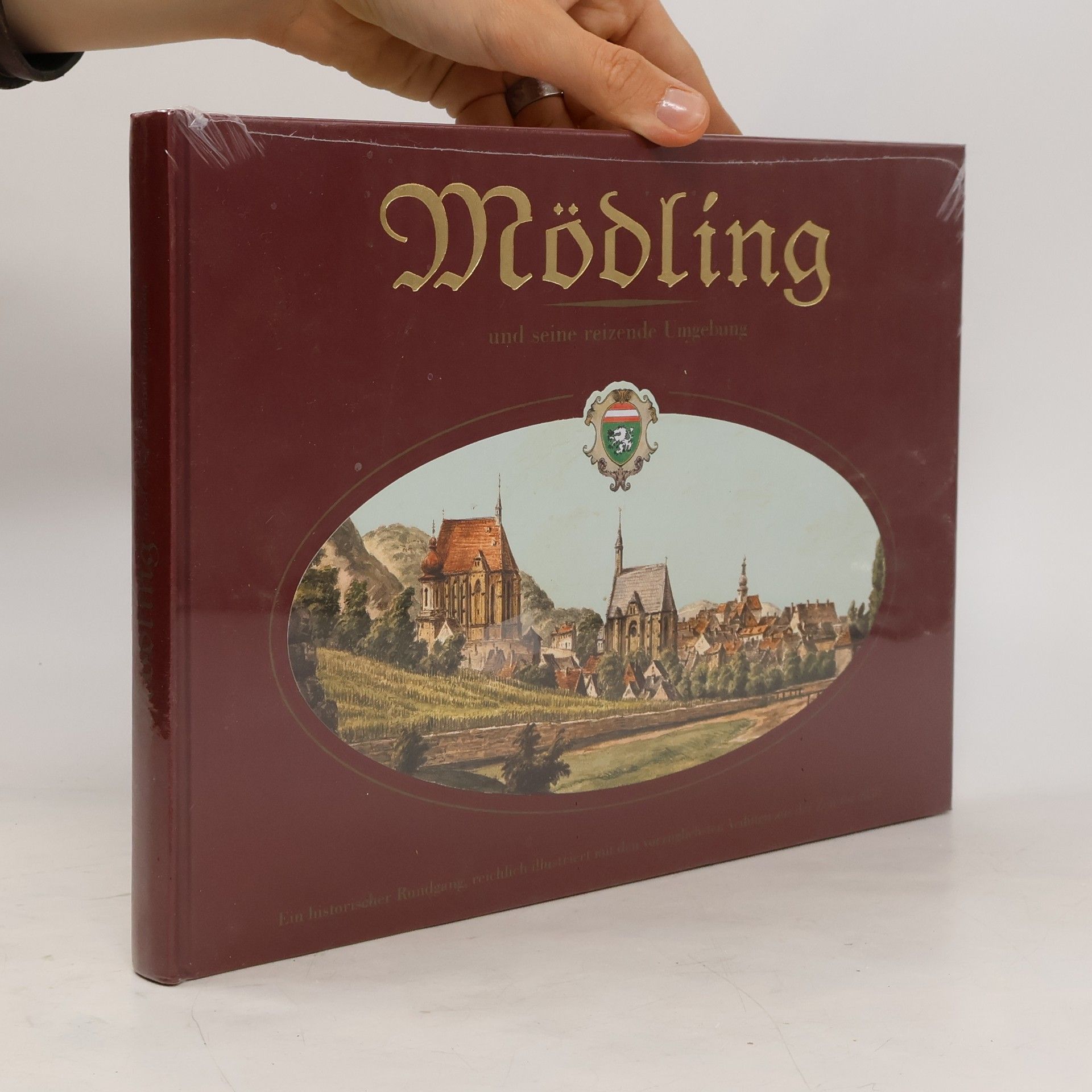 kolektiv Mödling
