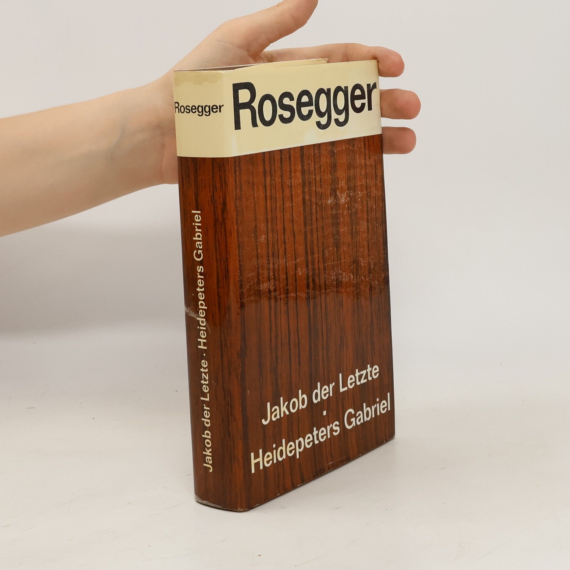 Peter Rosegger Jakob der Letzte. Heidepeters Gabriel
