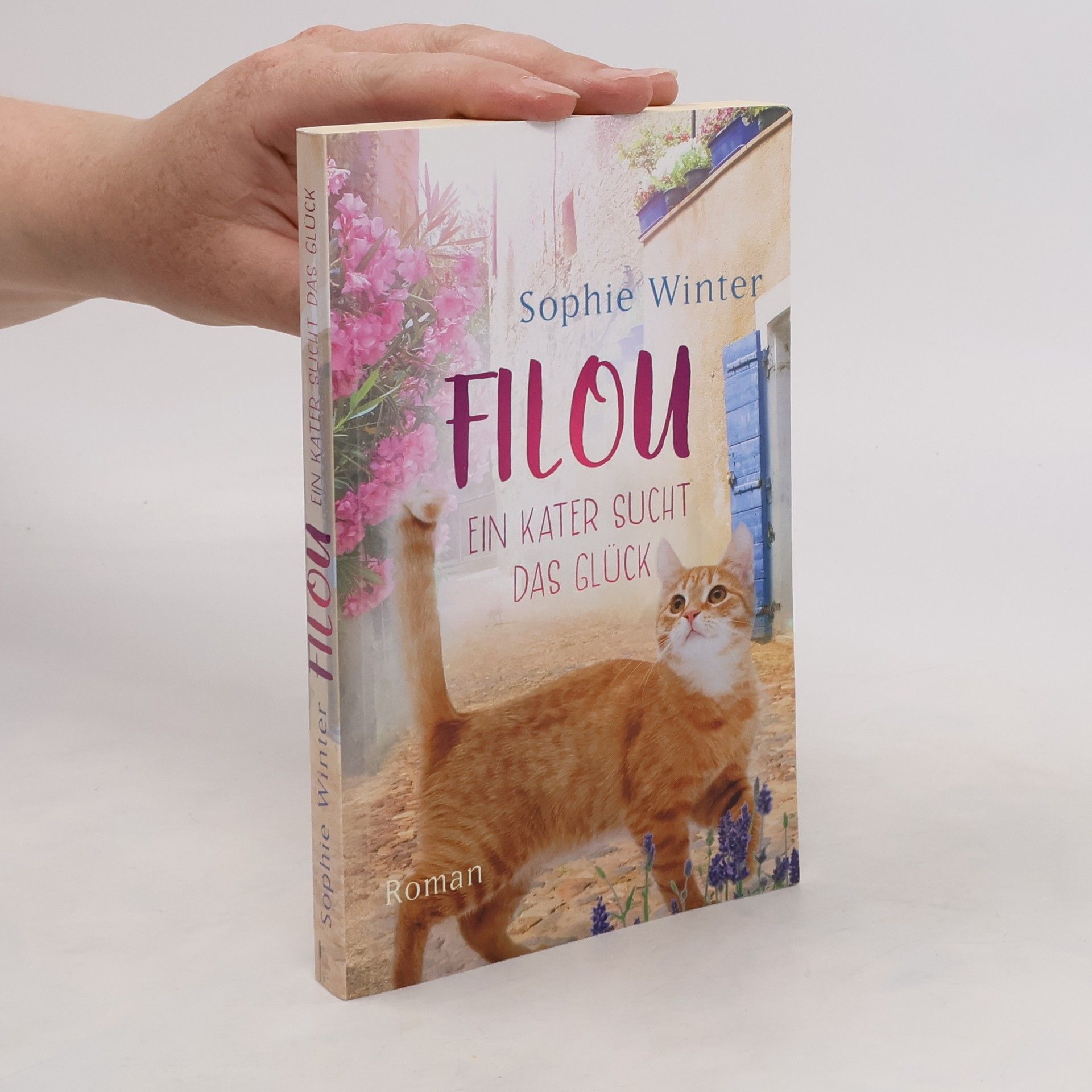 Sophie Winter Filou. Ein Kater sucht das Glück