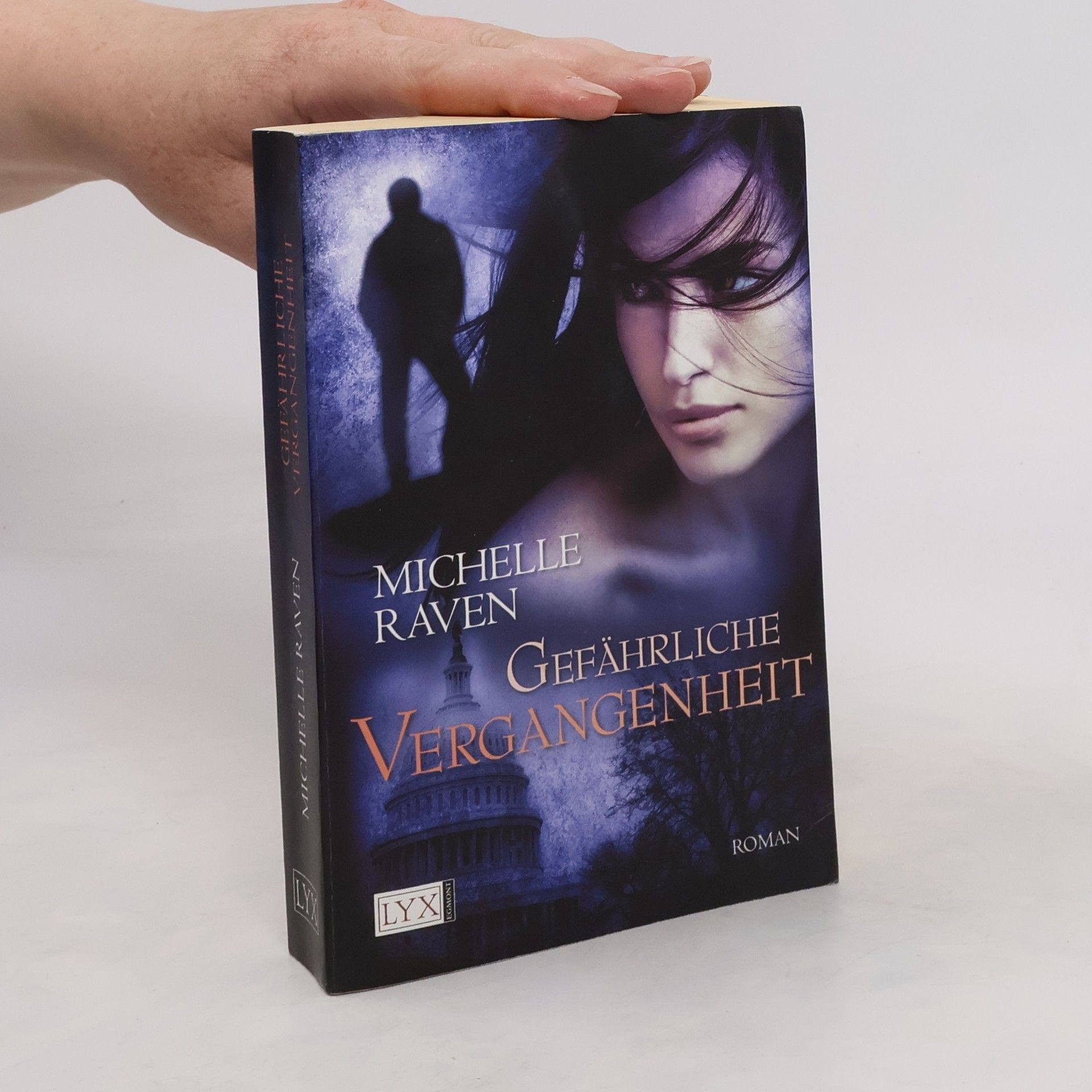 Michelle Raven Gefährliche Vergangenheit
