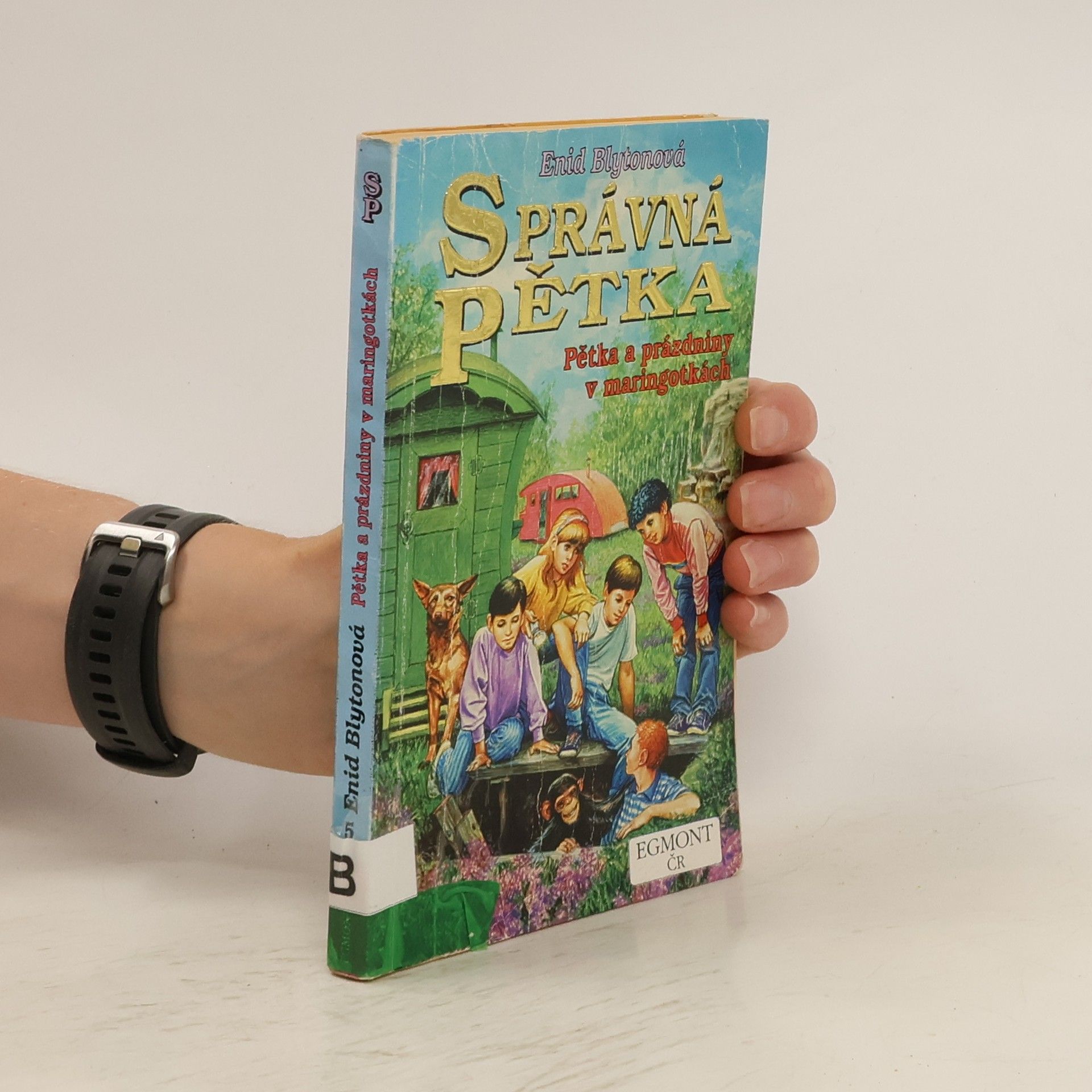 Enid Blyton Správná pětka: Pětka a prázdniny v maringotkách