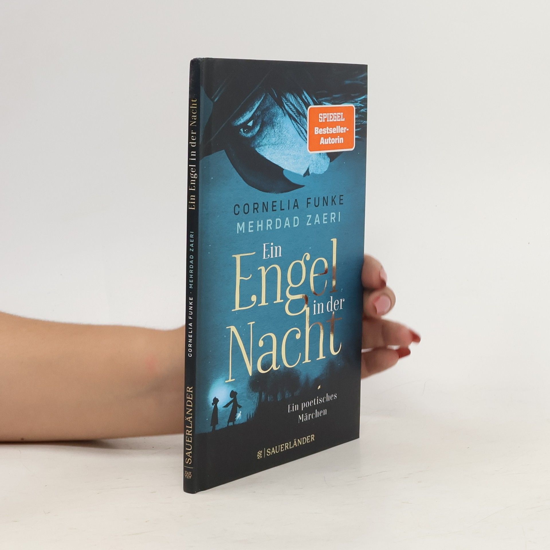 Cornelia Funke Ein Engel in der Nacht. Ein poetisches Märchen | Moderne Märchengeschichte für Kinder und Erwachsene von Cornelia Funke │Mit vielen eindrucksvollen Illustrationen