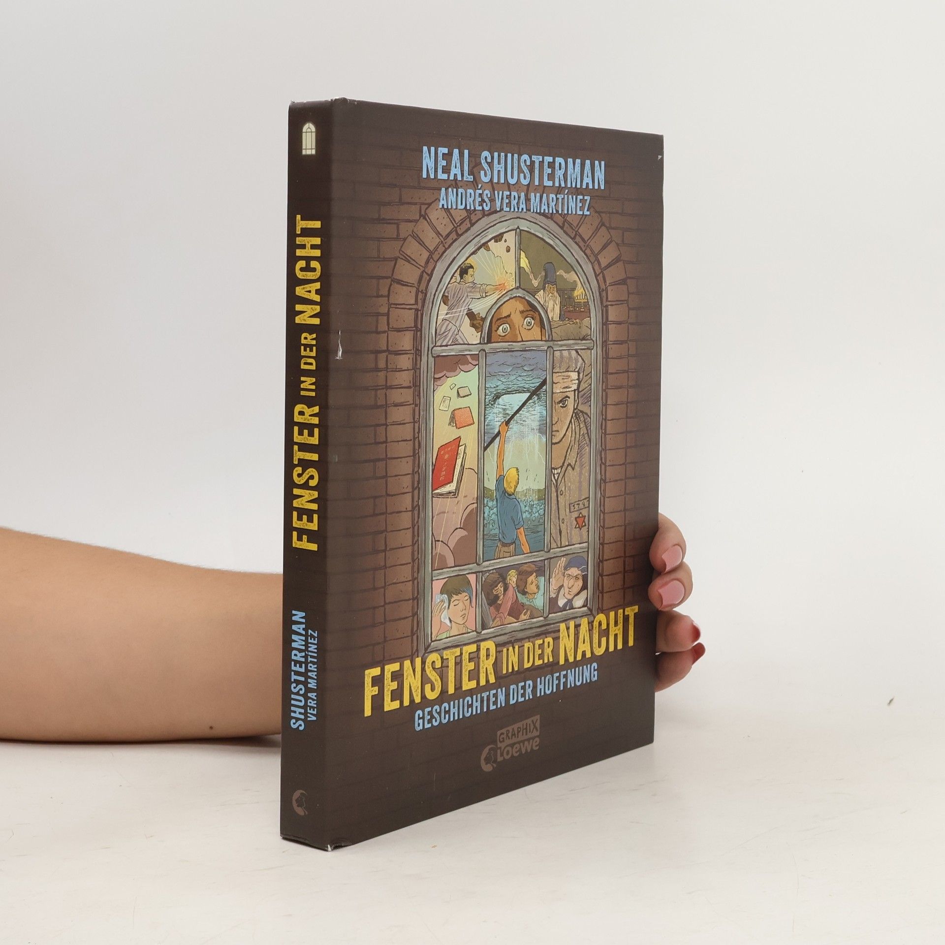 Neal Shusterman Fenster in der Nacht
