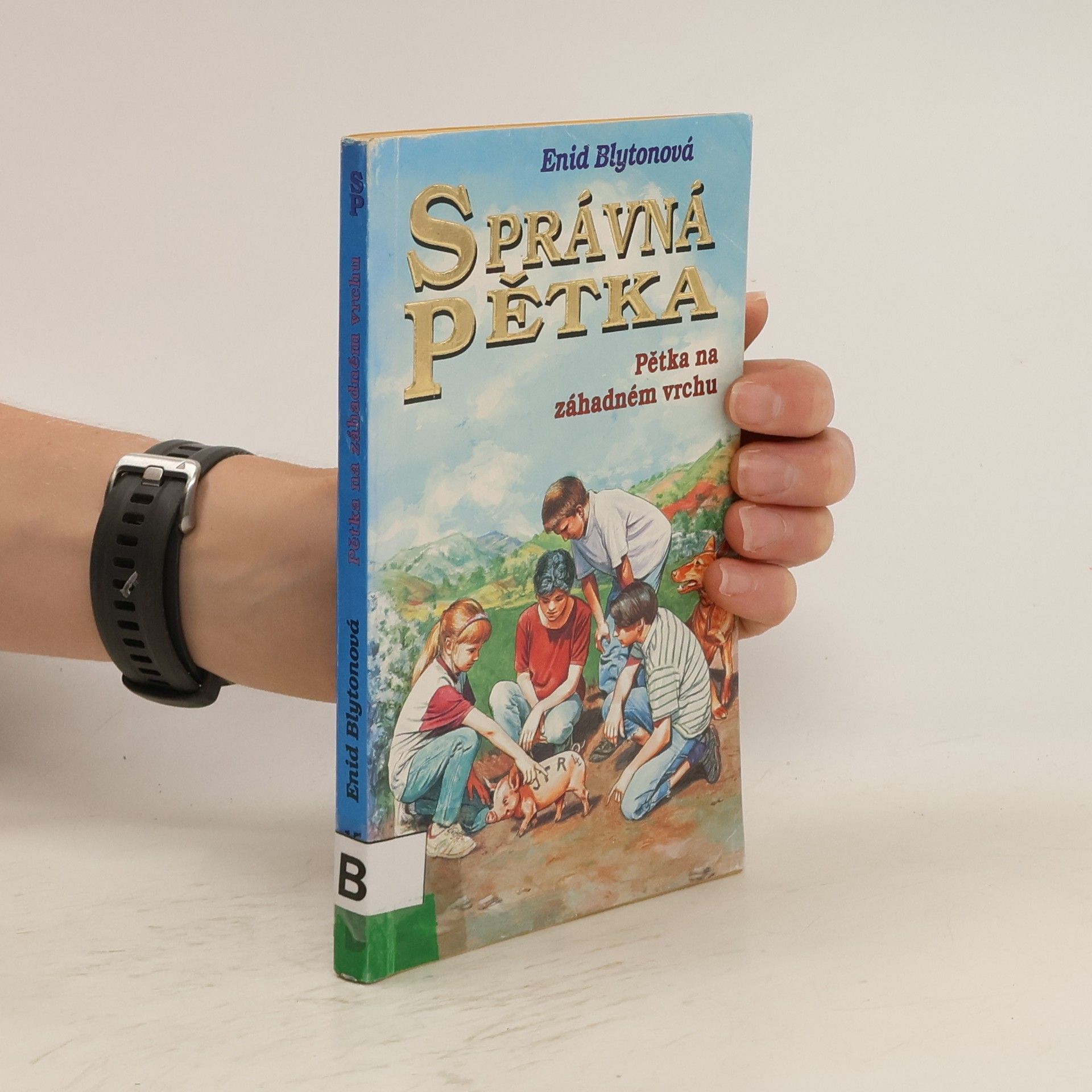 Enid Blyton Správná pětka: Pětka na záhadném vrchu