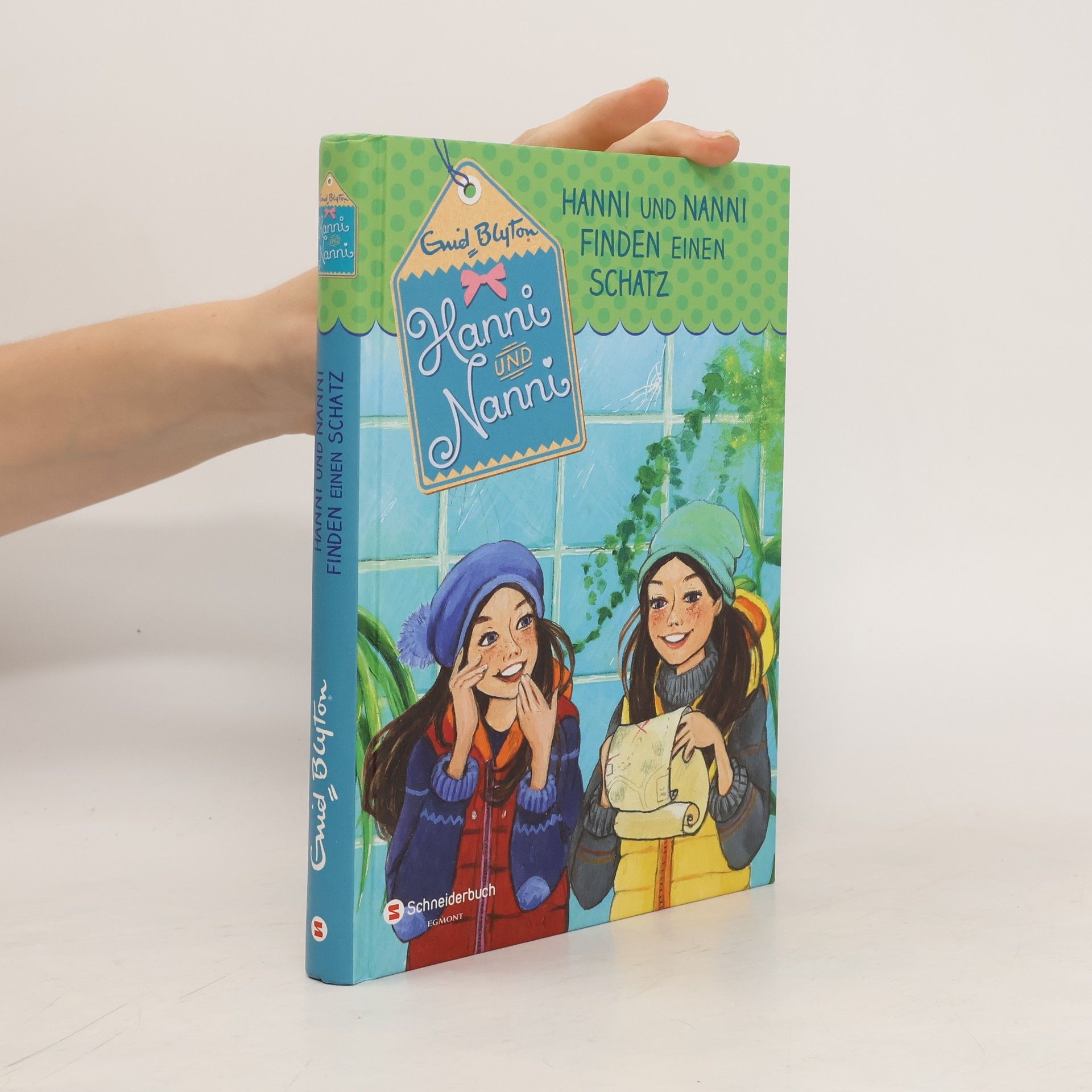 Enid Blyton Hanni und Nanni finden einen Schatz