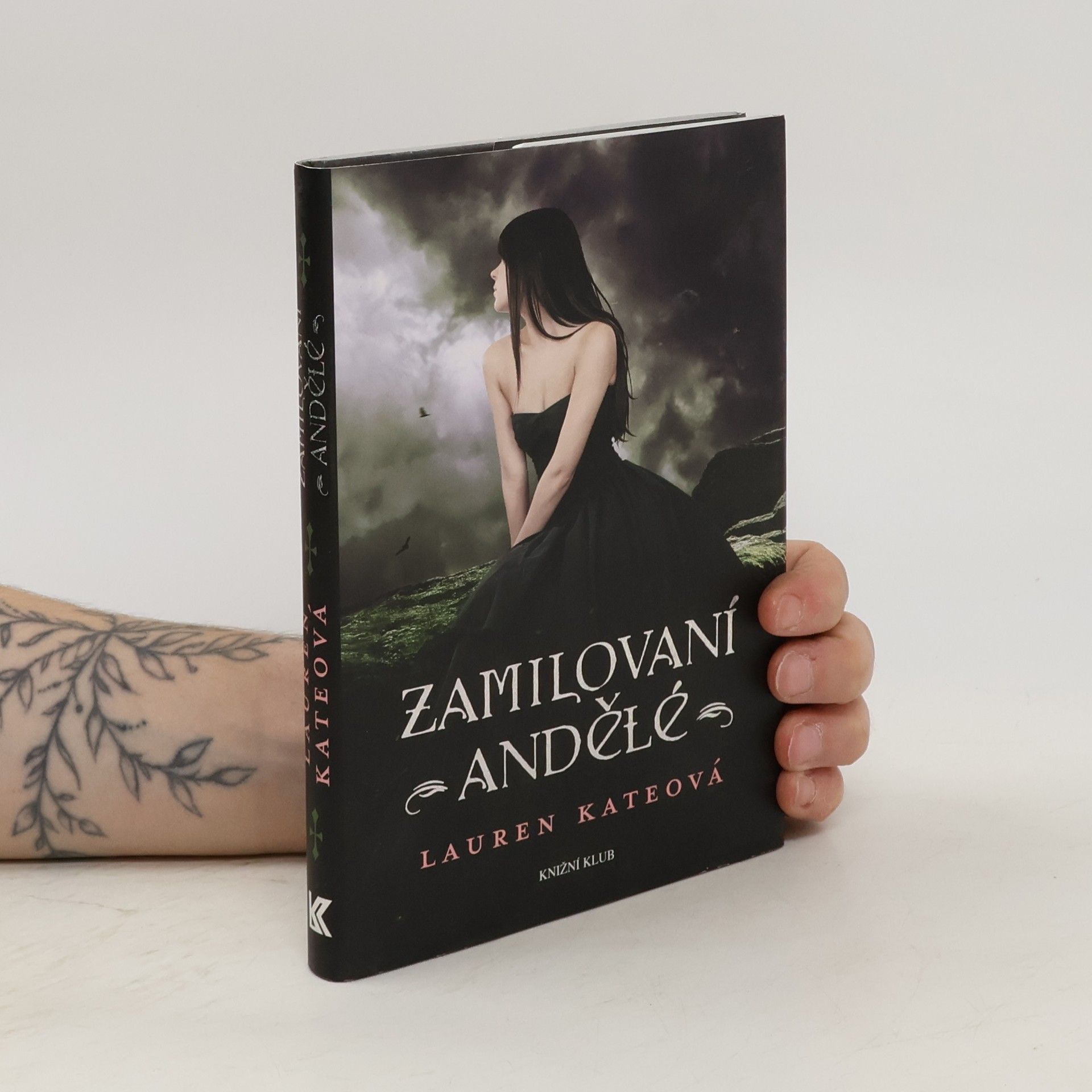 Lauren Kate Zamilovaní andělé