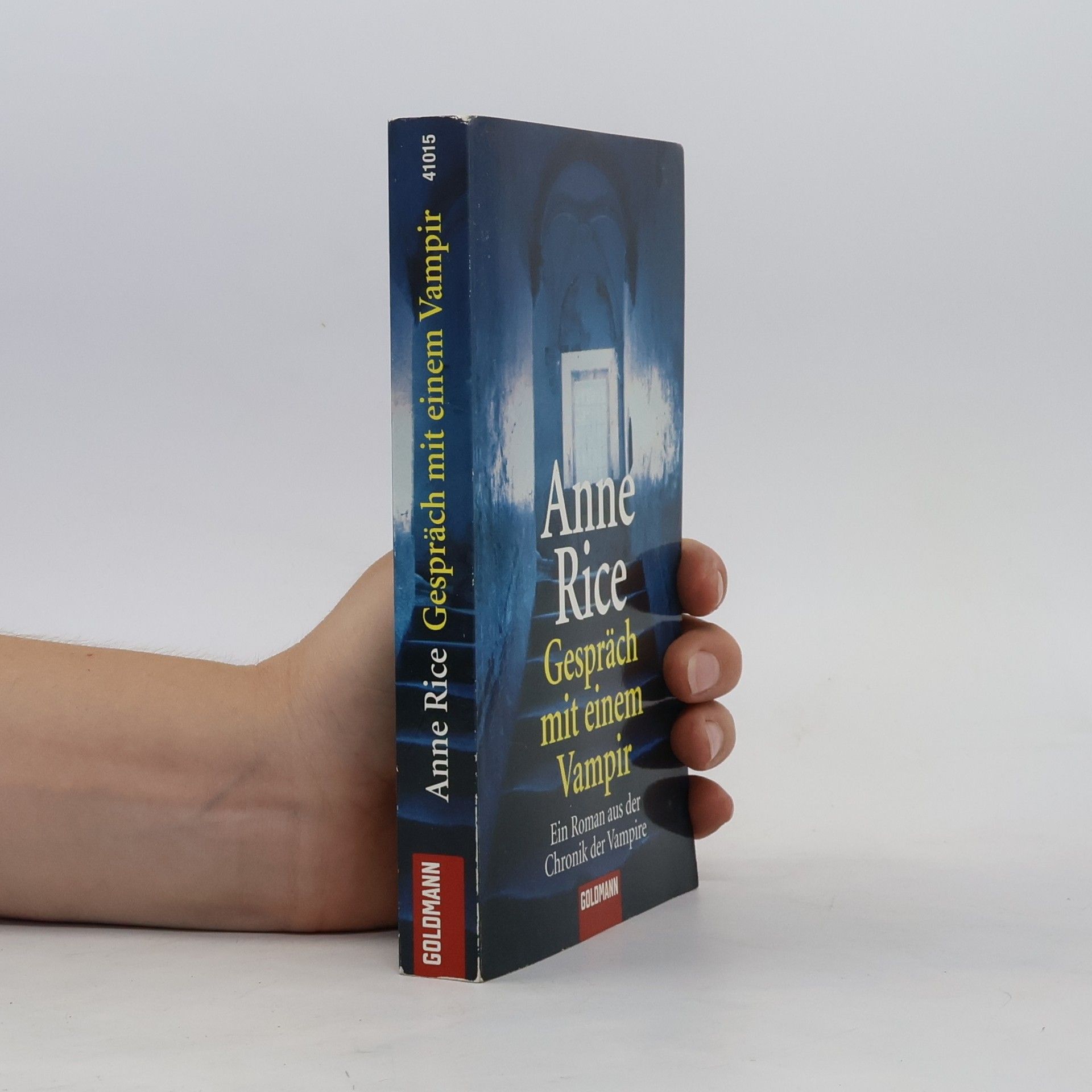 Anne Rice Gespräch mit dem Vampir